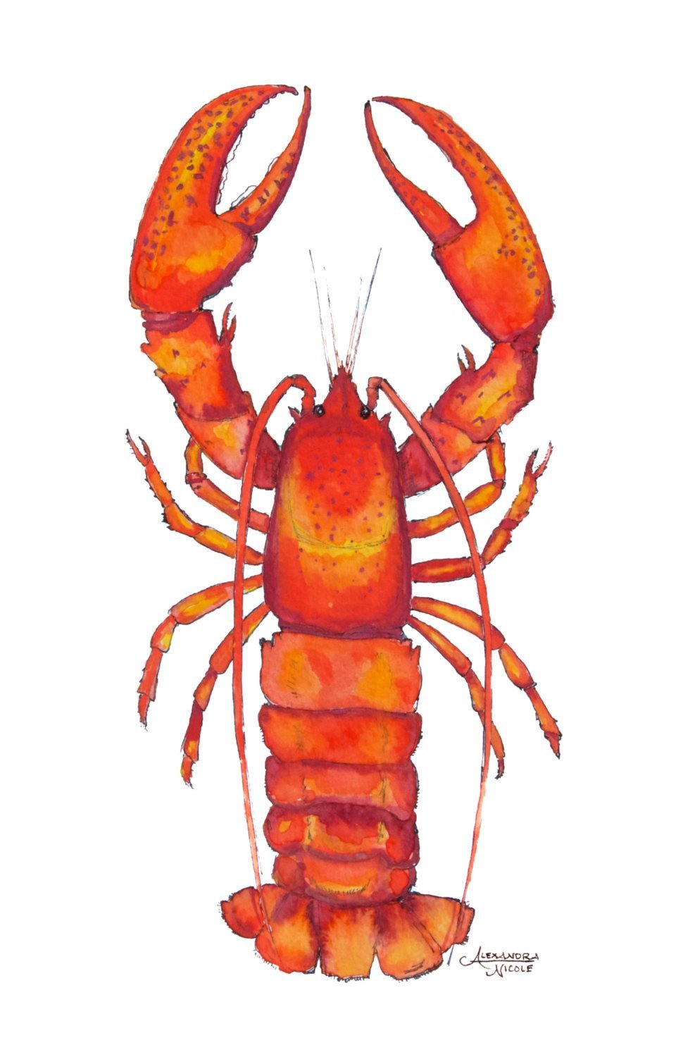 Lobster Watercolor Art Print - ArtByAlexandraNicole