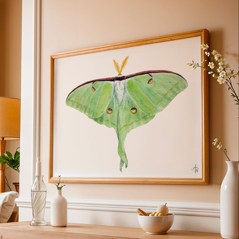 Luna Moth Fine Art Print – Nature Illustration, Green Insect Wall Art - ArtByAlexandraNicole