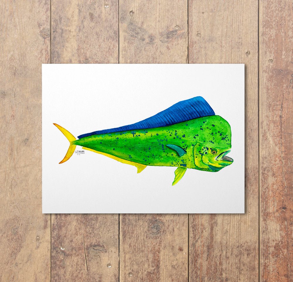 Mahi Mahi Watercolor Art Print, Fish Print - ArtByAlexandraNicole
