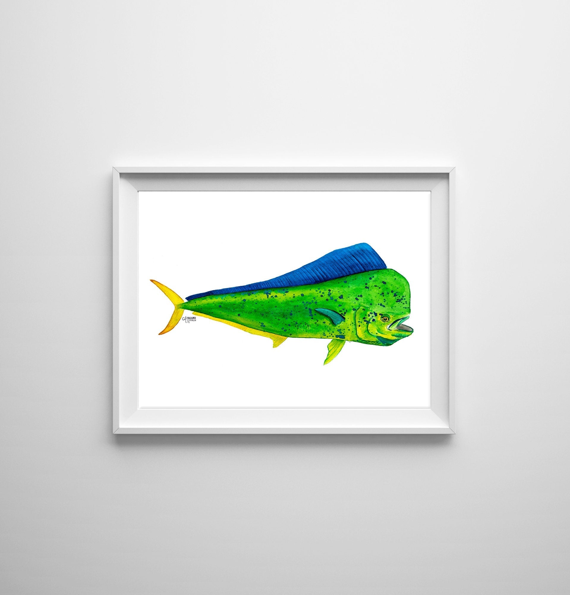 Mahi Mahi Watercolor Art Print, Fish Print - ArtByAlexandraNicole