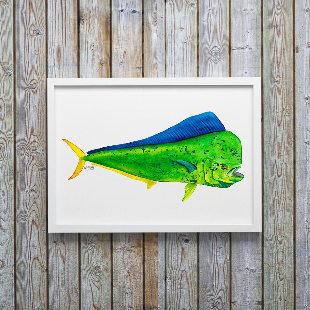 Mahi Mahi Watercolor Art Print, Fish Print - ArtByAlexandraNicole