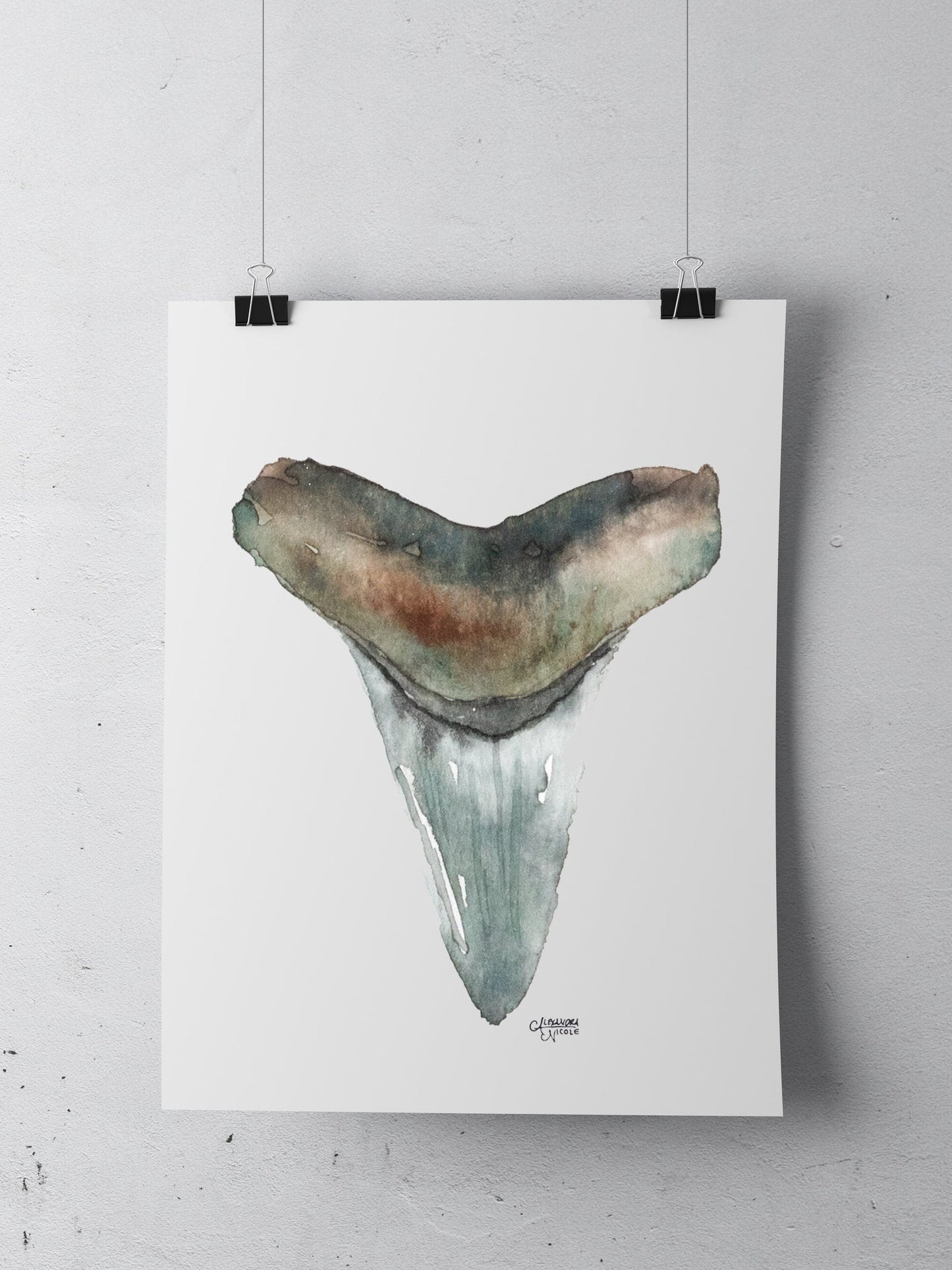 Mako Shark Tooth Watercolor Print No. 5 - ArtByAlexandraNicole