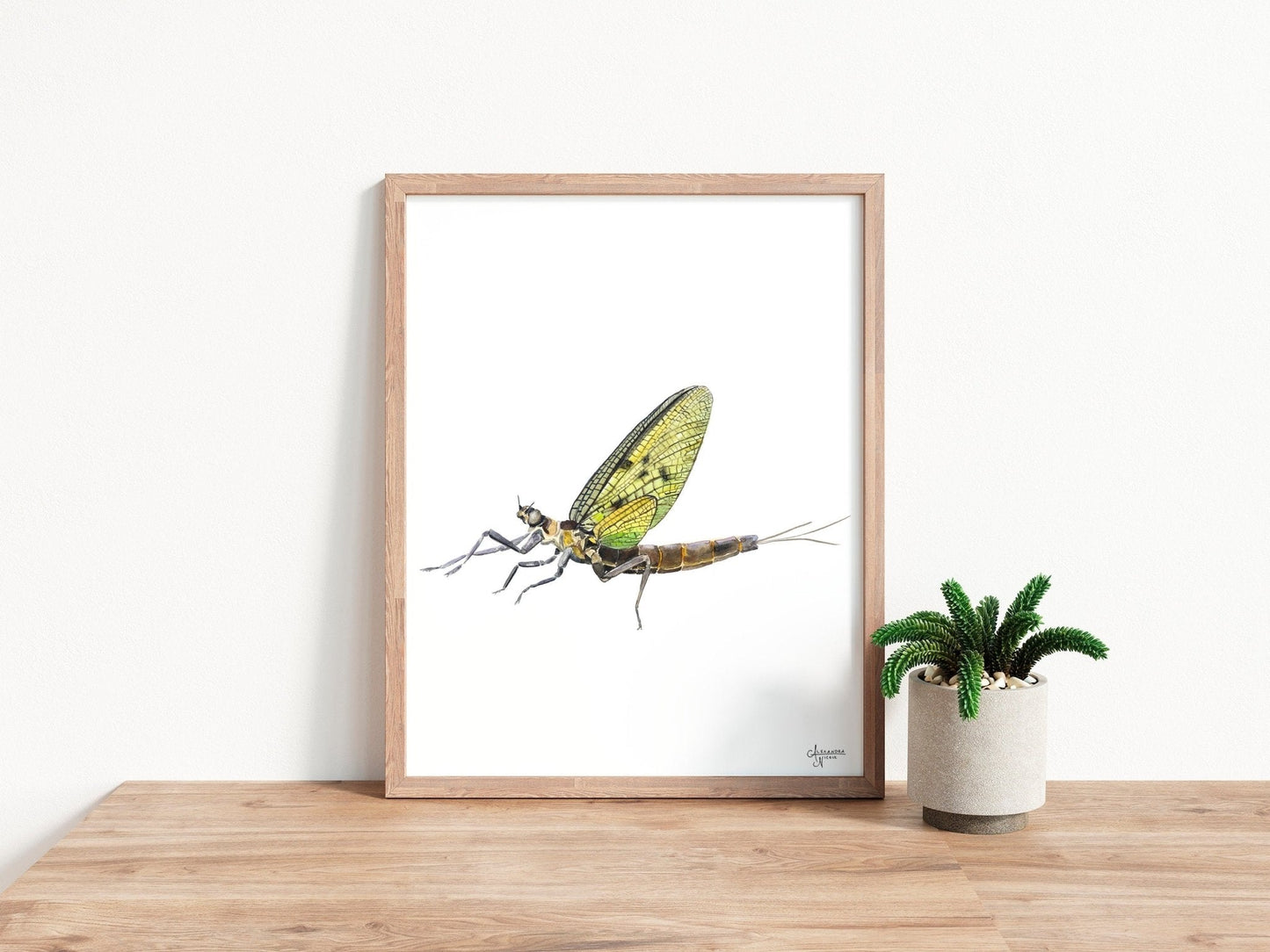 Mayfly Watercolor Print, Watercolor Bug Art, Nature Inspired Decor, Fly Fishermen Gift - ArtByAlexandraNicole