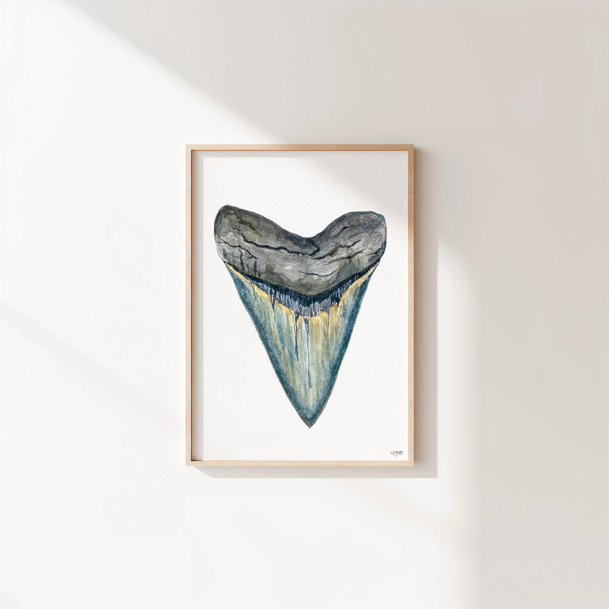 Megalodon Shark Tooth Watercolor Print - Shark Tooth No. 1 - ArtByAlexandraNicole