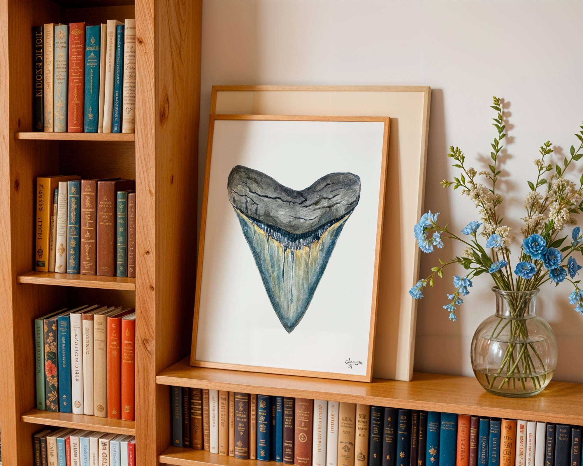 Megalodon Shark Tooth Watercolor Print - Shark Tooth No. 1 - ArtByAlexandraNicole