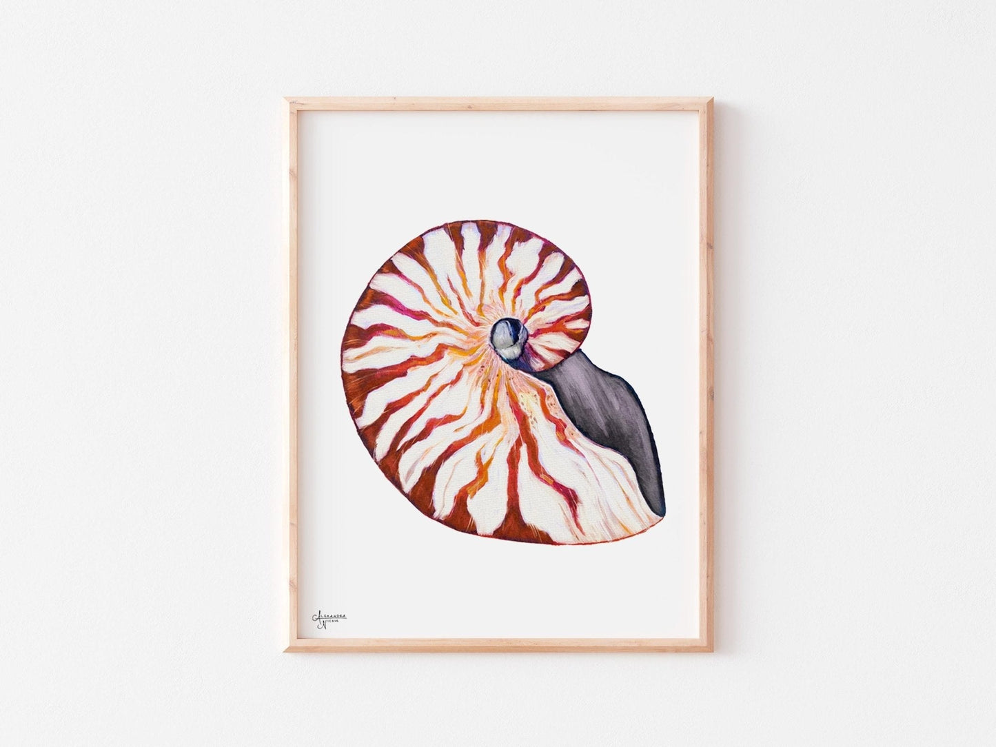 Nautilus Shell Print for Elegant Coastal Home - ArtByAlexandraNicole