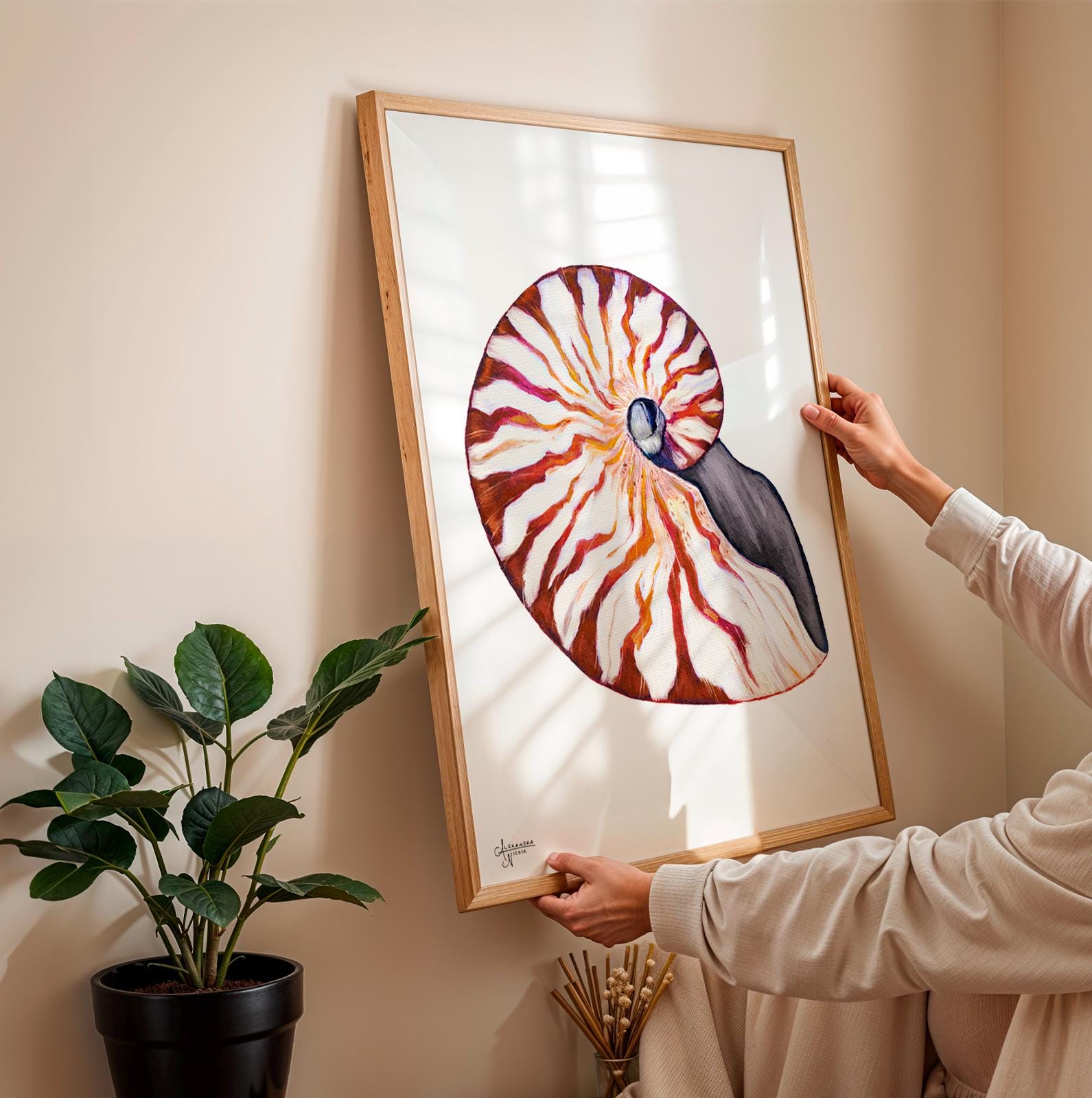Nautilus Shell Print for Elegant Coastal Home - ArtByAlexandraNicole