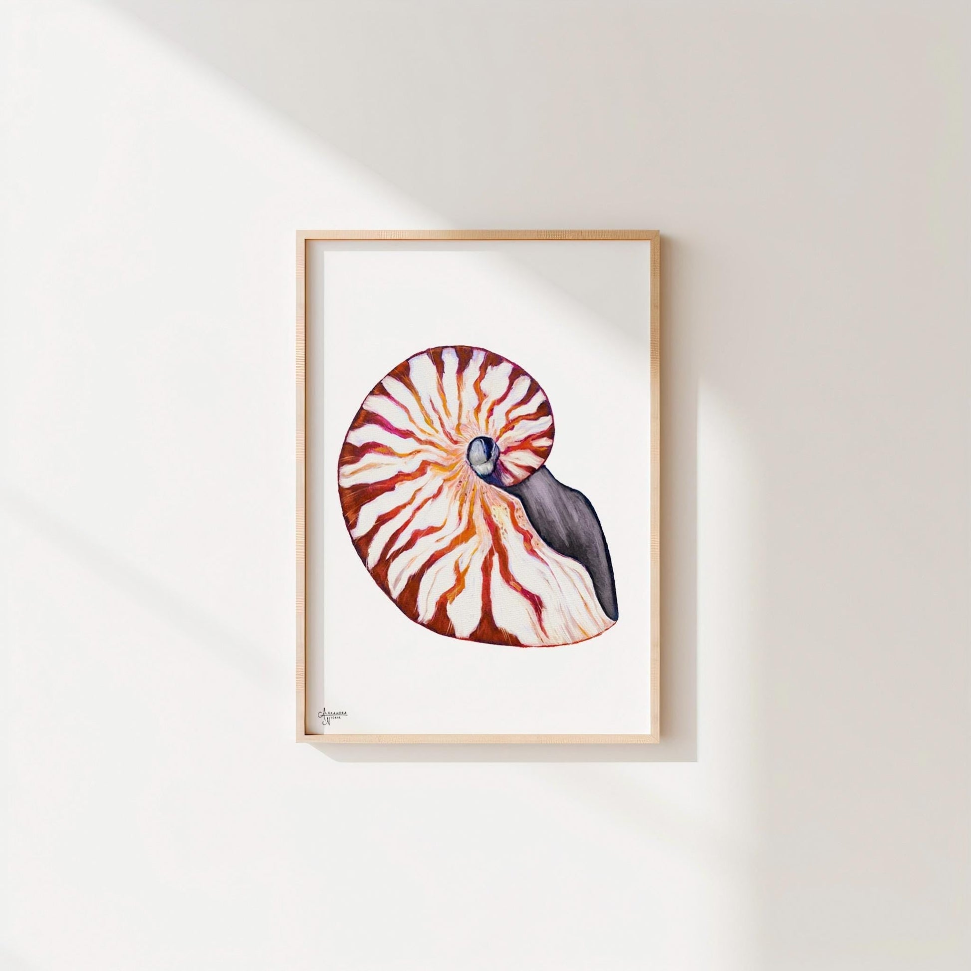 Nautilus Shell Print for Elegant Coastal Home - ArtByAlexandraNicole