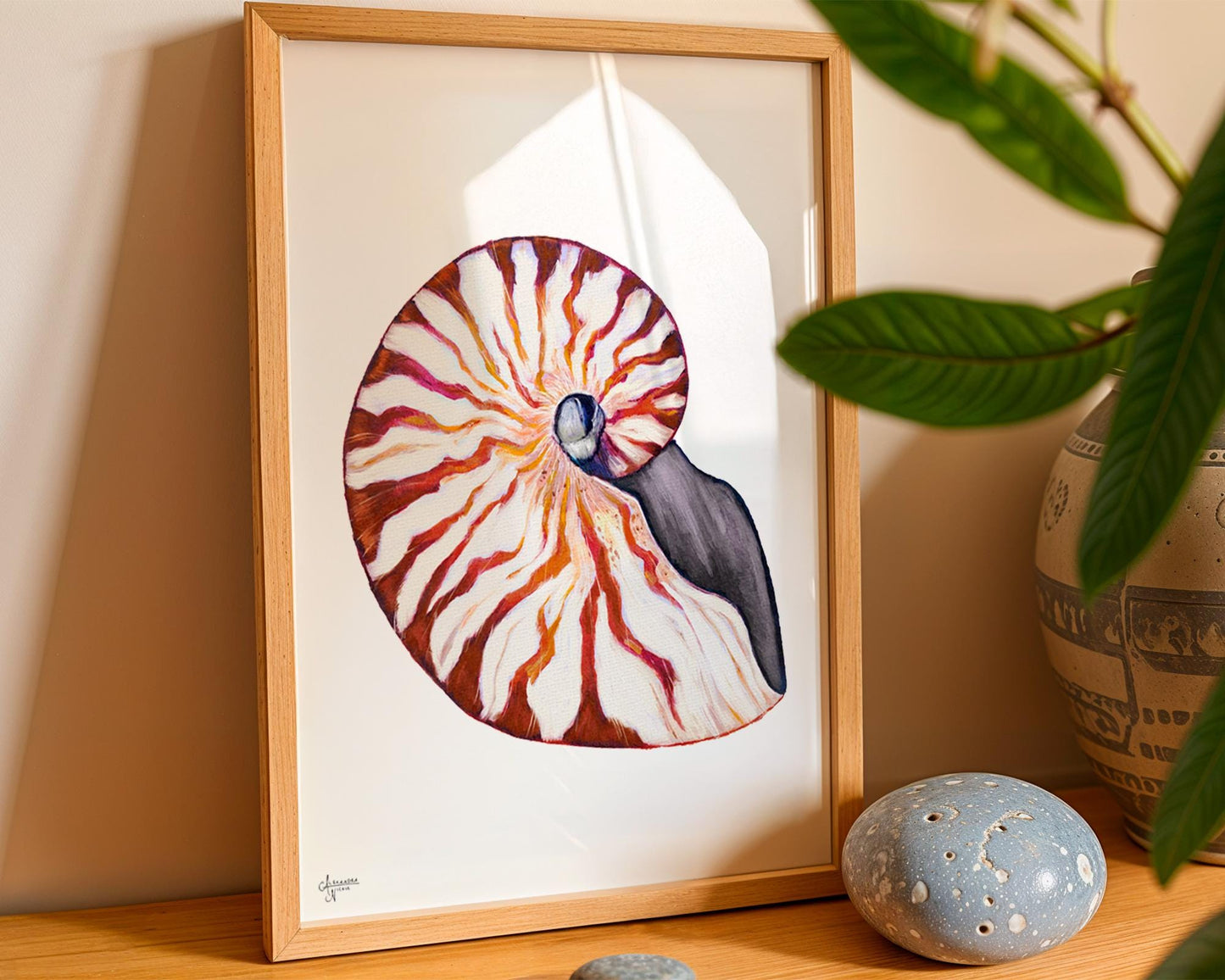 Nautilus Shell Print for Elegant Coastal Home - ArtByAlexandraNicole