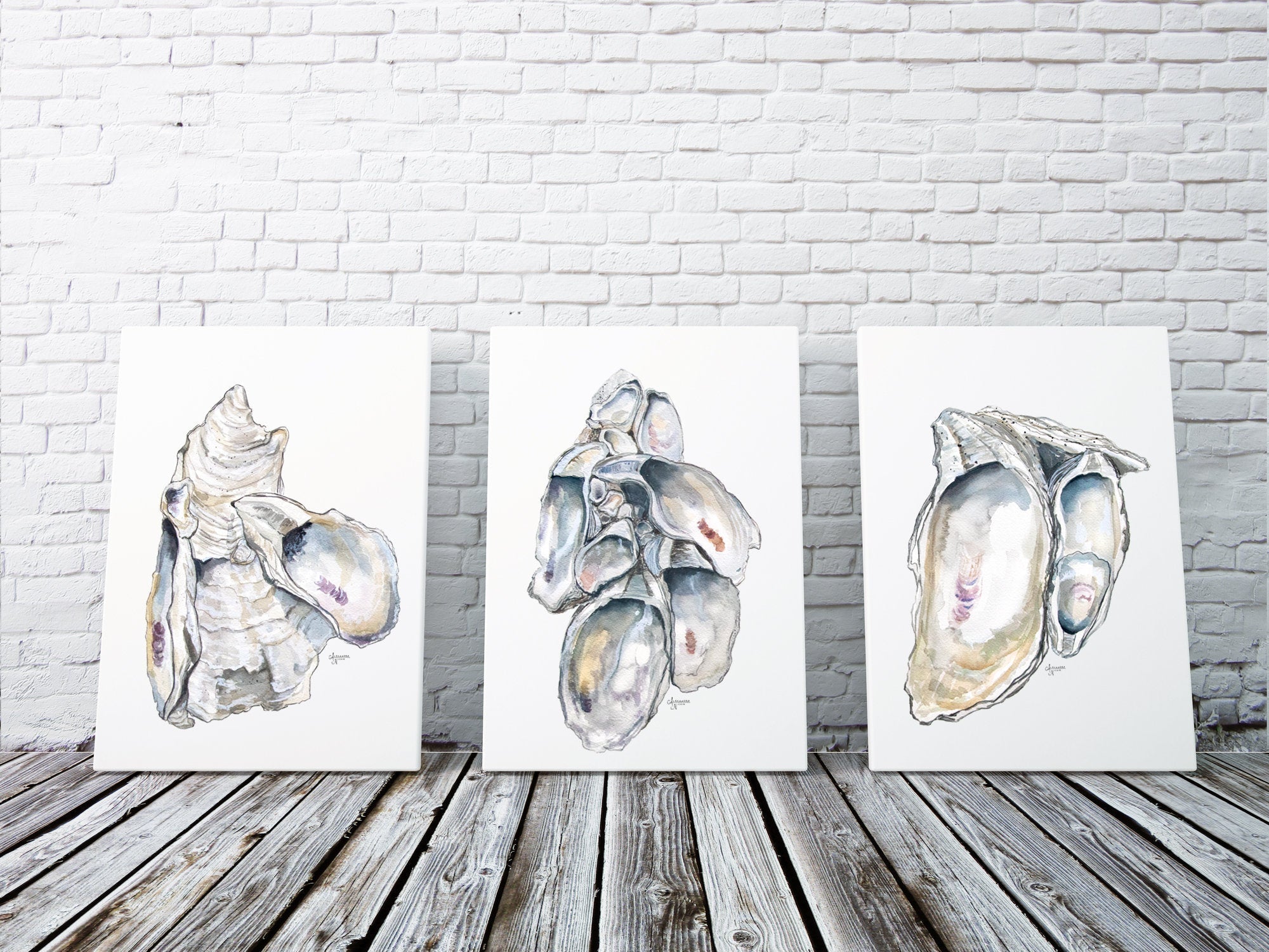 Oyster Cluster Watercolor Discounted Print Set of 3 - ArtByAlexandraNicole