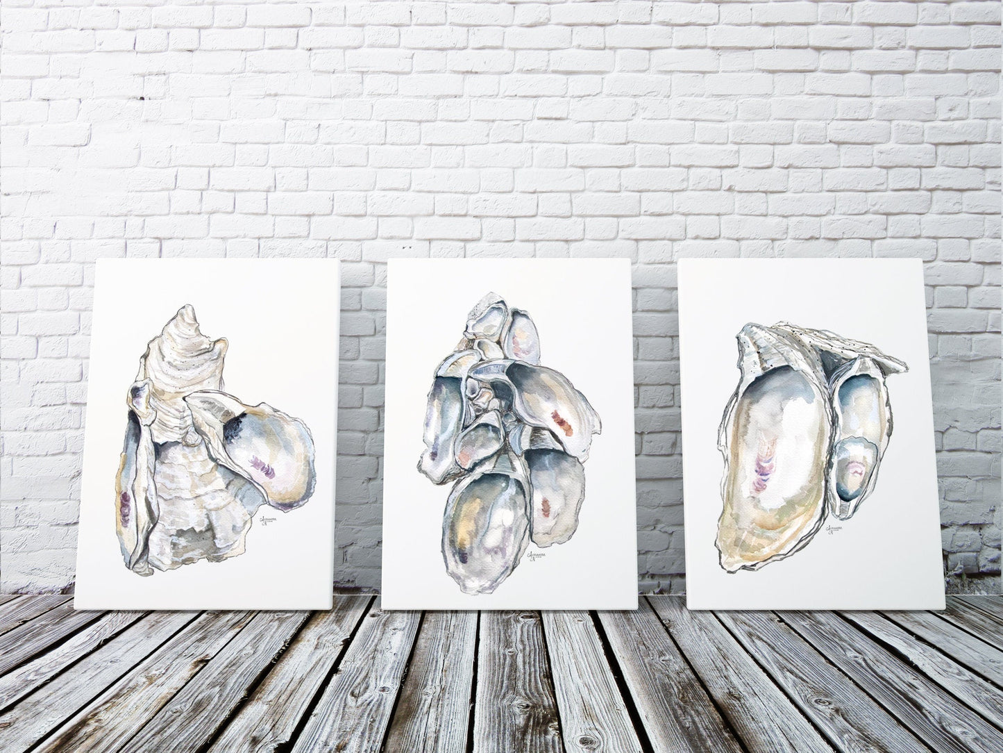 Oyster Cluster Watercolor Discounted Print Set of 3 - ArtByAlexandraNicole