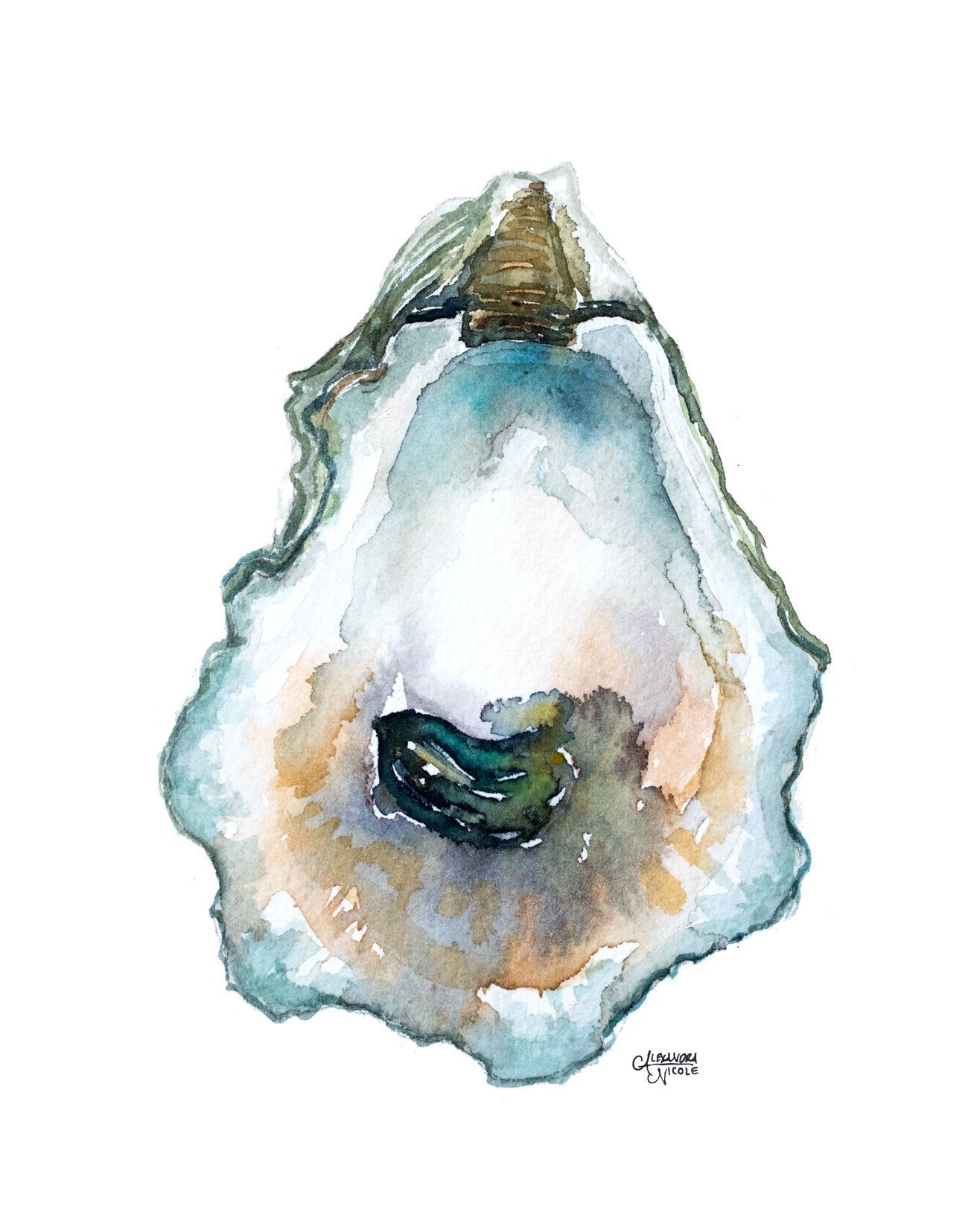 Oyster Shell Watercolor Trio Print Set - ArtByAlexandraNicole