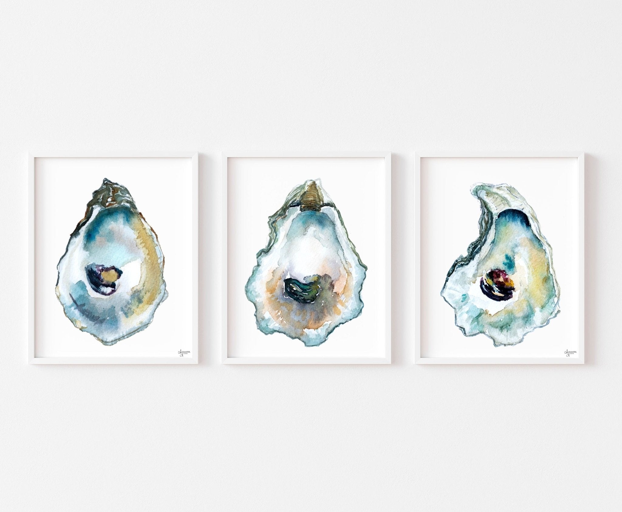 Oyster Shell Watercolor Trio Print Set - ArtByAlexandraNicole