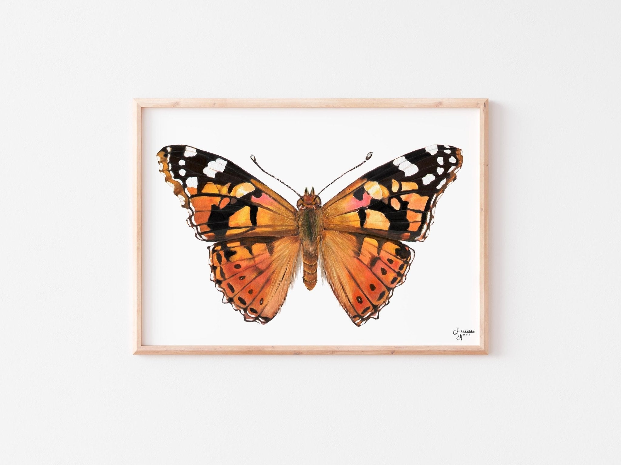 Painted Lady Butterfly Illustration - Minimalistic Nature Wall Decor - ArtByAlexandraNicole