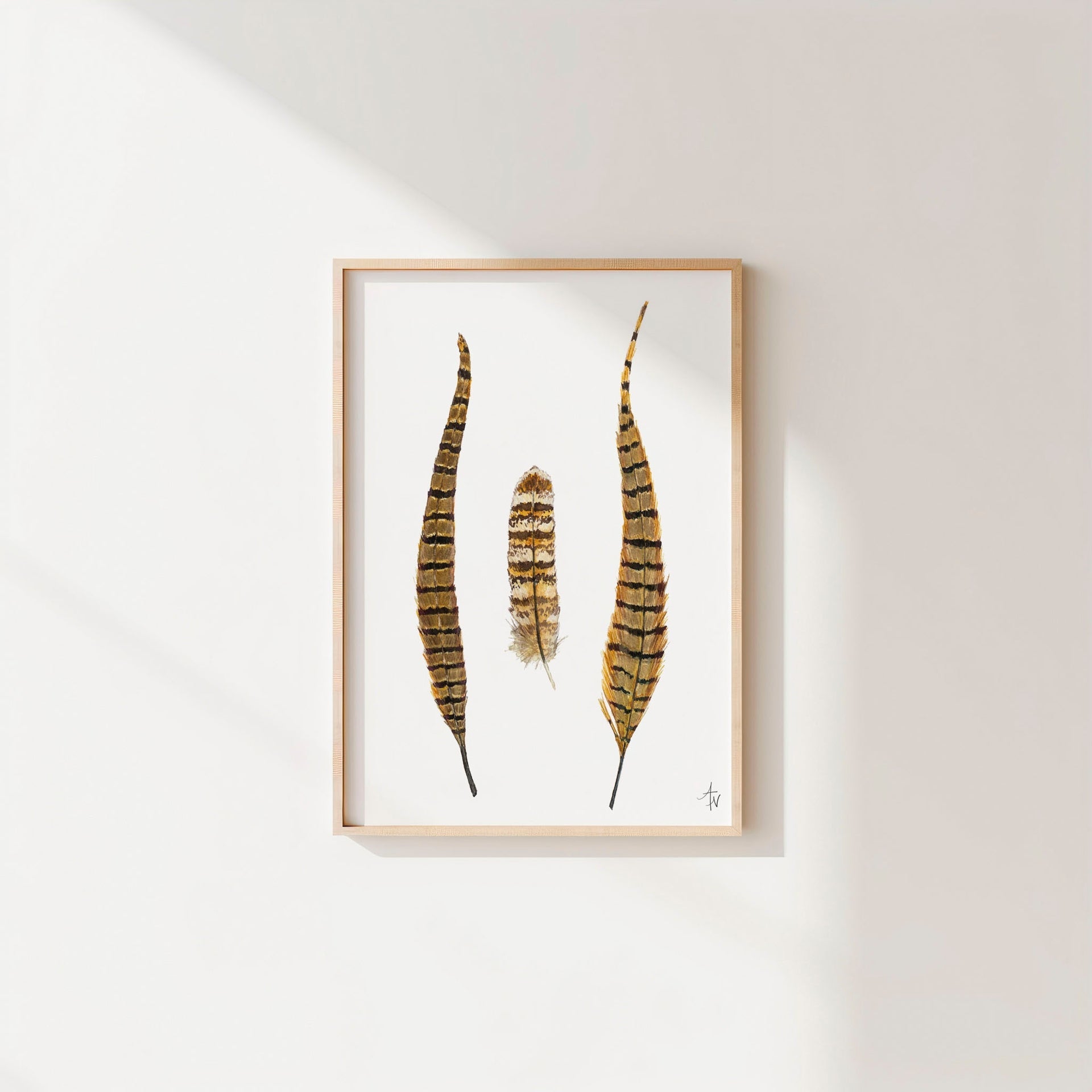 Pheasant Feather Art Print – Bird Feather Illustration, Sporting Art - ArtByAlexandraNicole