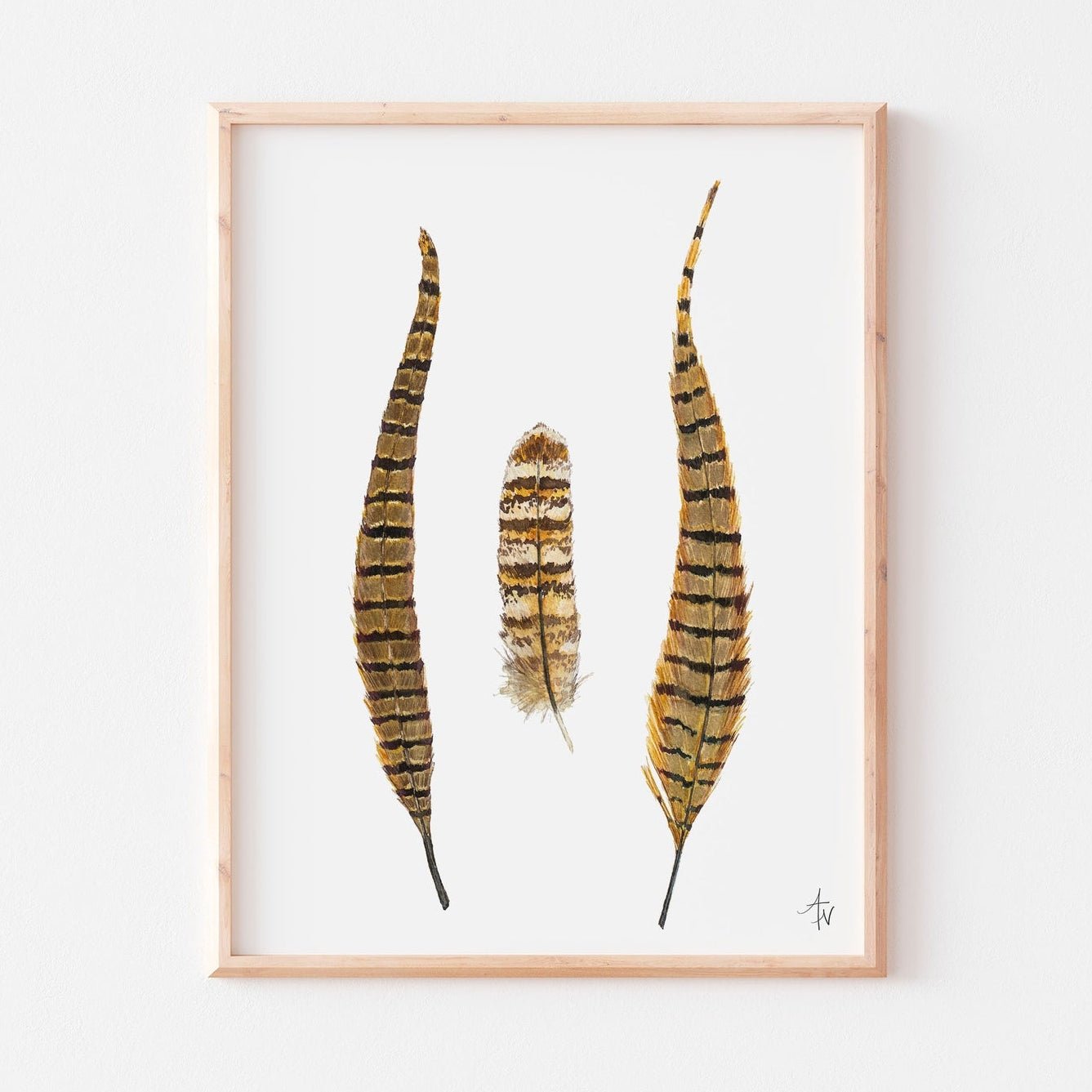 Pheasant Feather Art Print – Bird Feather Illustration, Sporting Art - ArtByAlexandraNicole