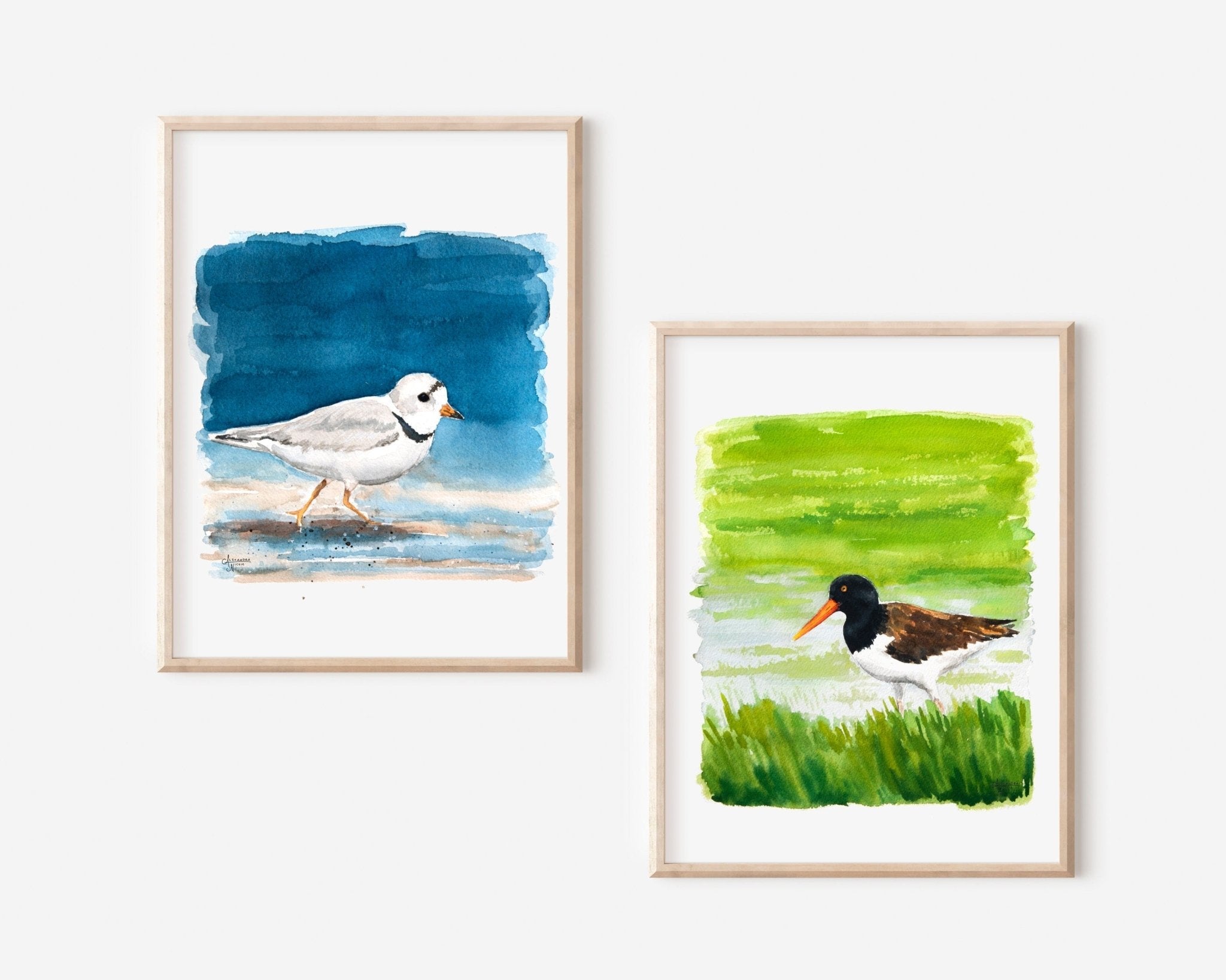 Piping Plover and American Oystercatcher Fine Art Print - ArtByAlexandraNicole
