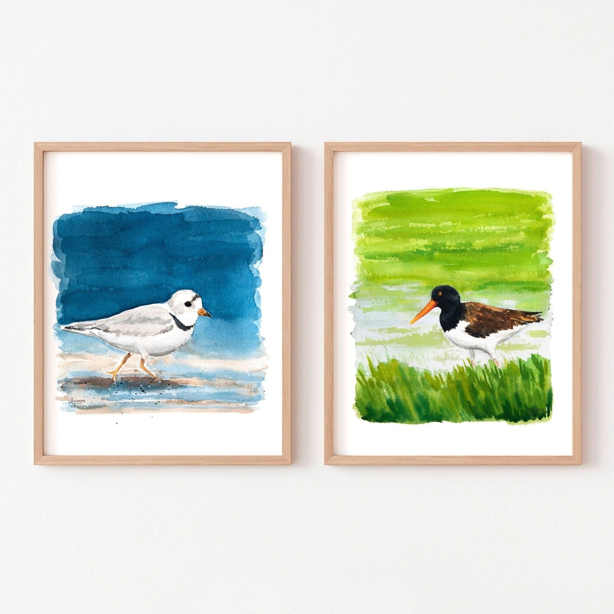 Piping Plover and American Oystercatcher Fine Art Print - ArtByAlexandraNicole