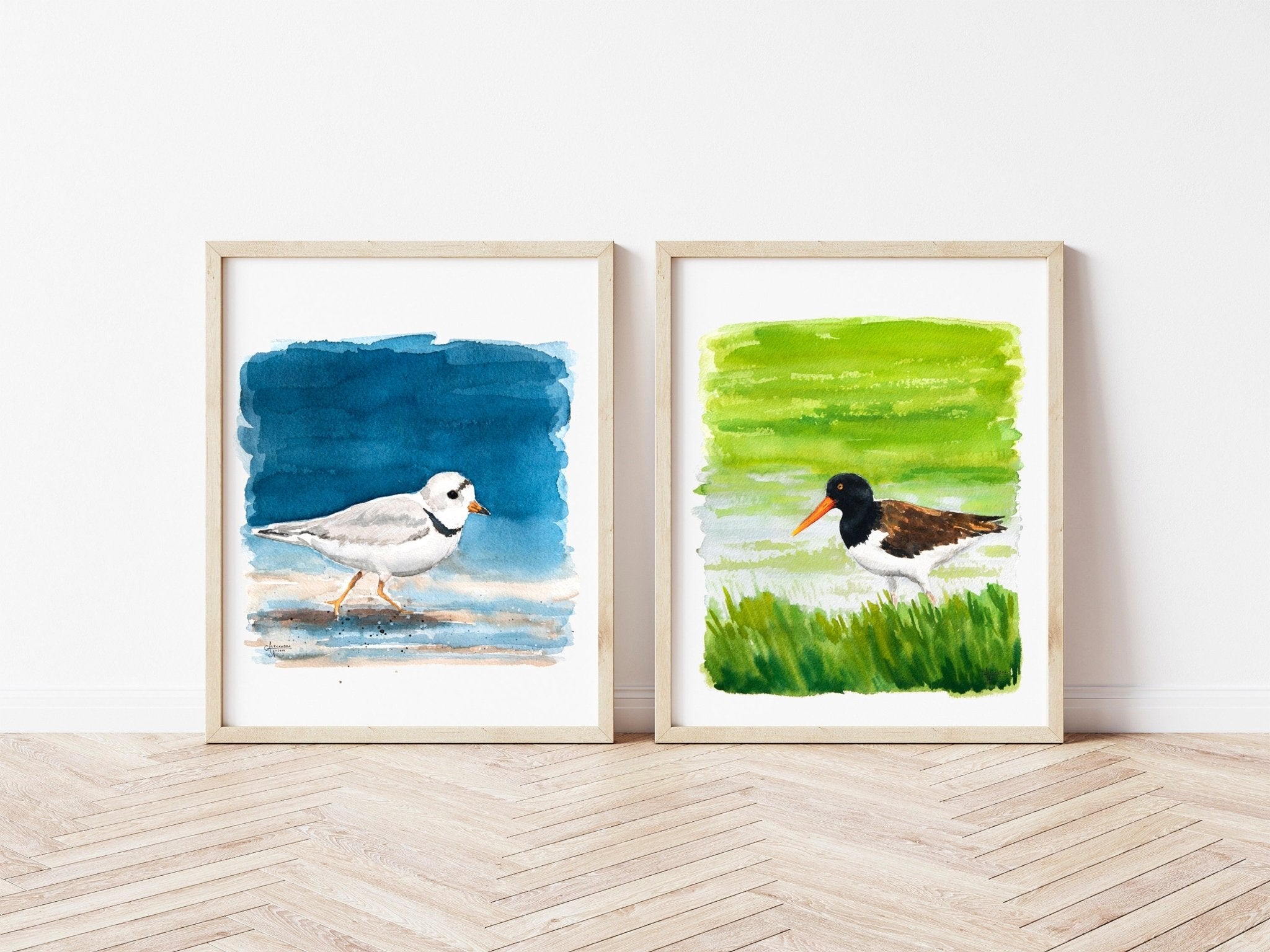 Piping Plover and American Oystercatcher Fine Art Print - ArtByAlexandraNicole