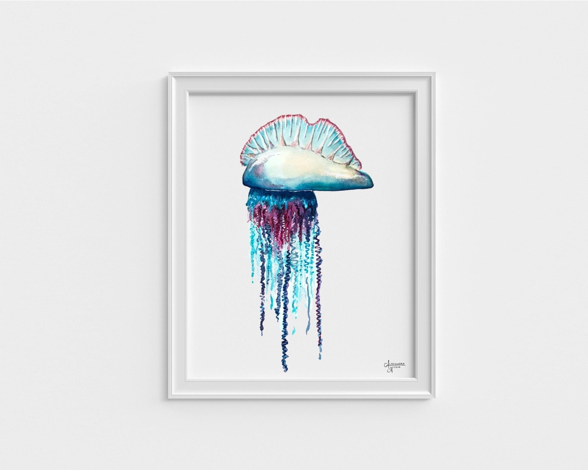 Portuguese Man O War FIne Art Print - ArtByAlexandraNicole