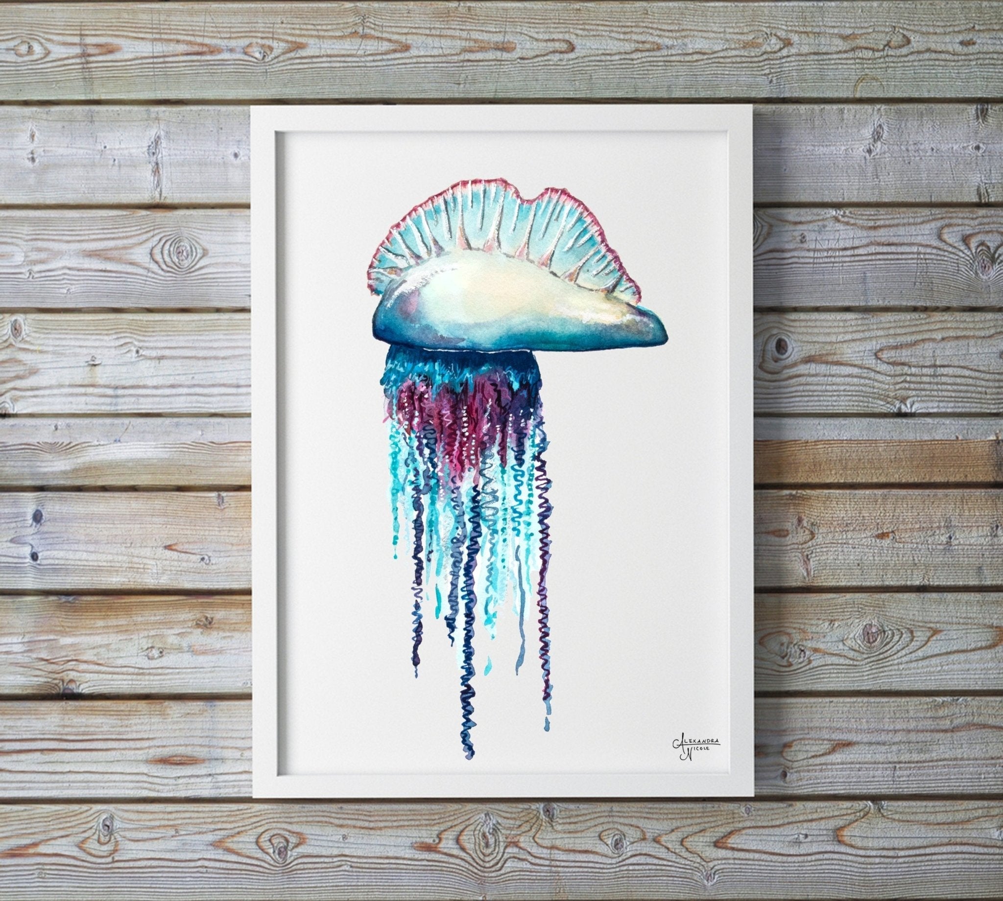 Portuguese Man O War FIne Art Print - ArtByAlexandraNicole