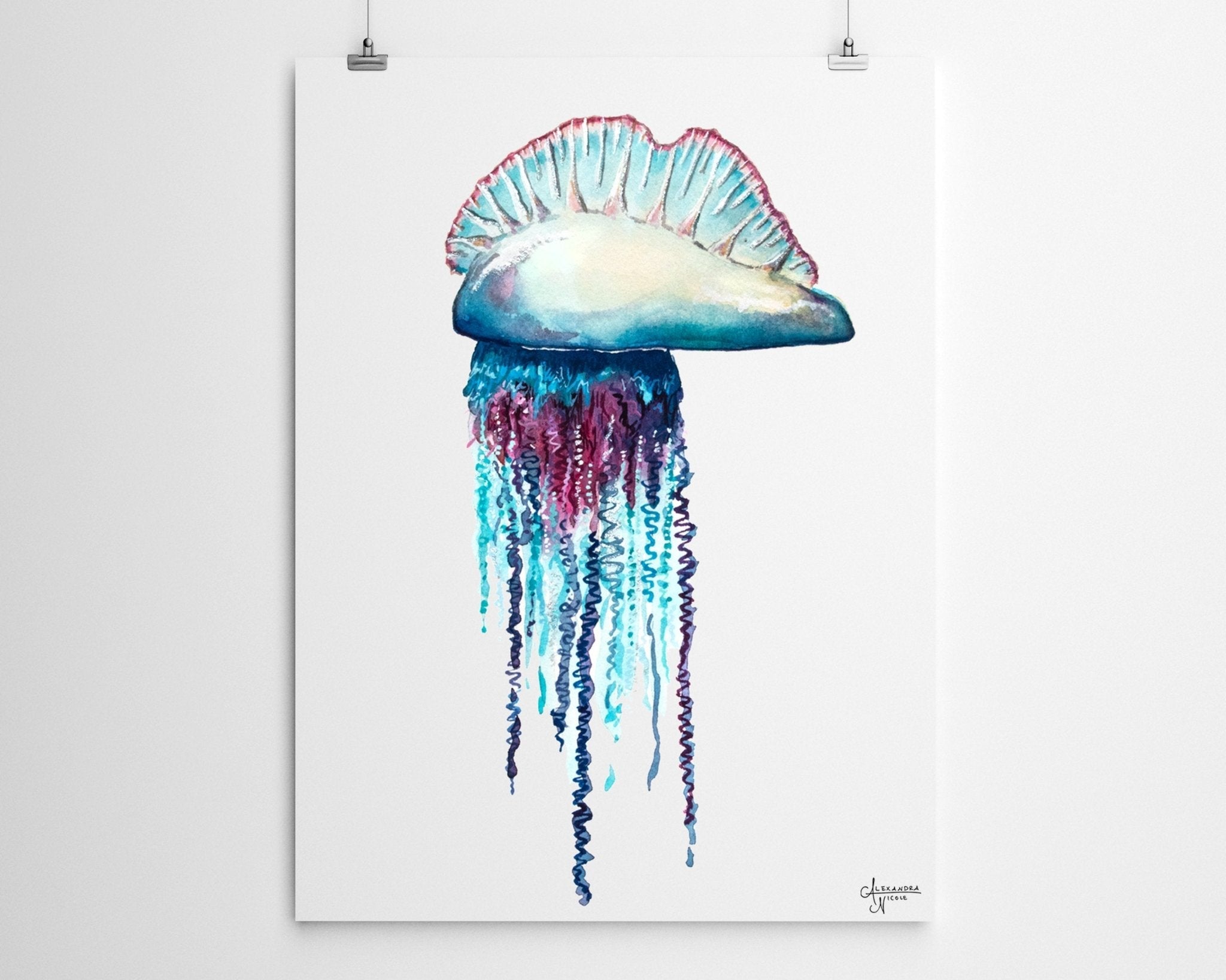 Portuguese Man O War FIne Art Print - ArtByAlexandraNicole