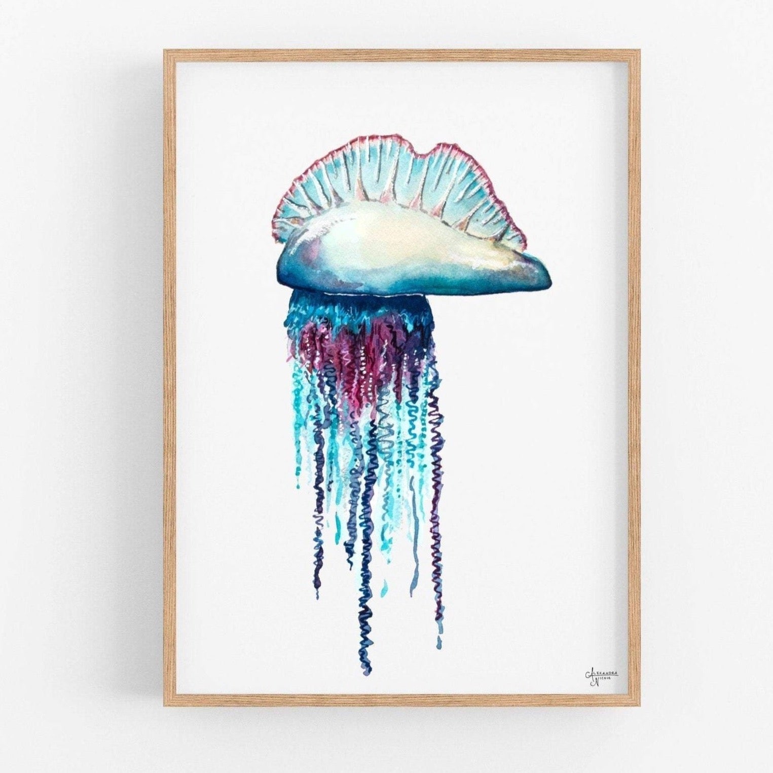 Portuguese Man O War FIne Art Print - ArtByAlexandraNicole