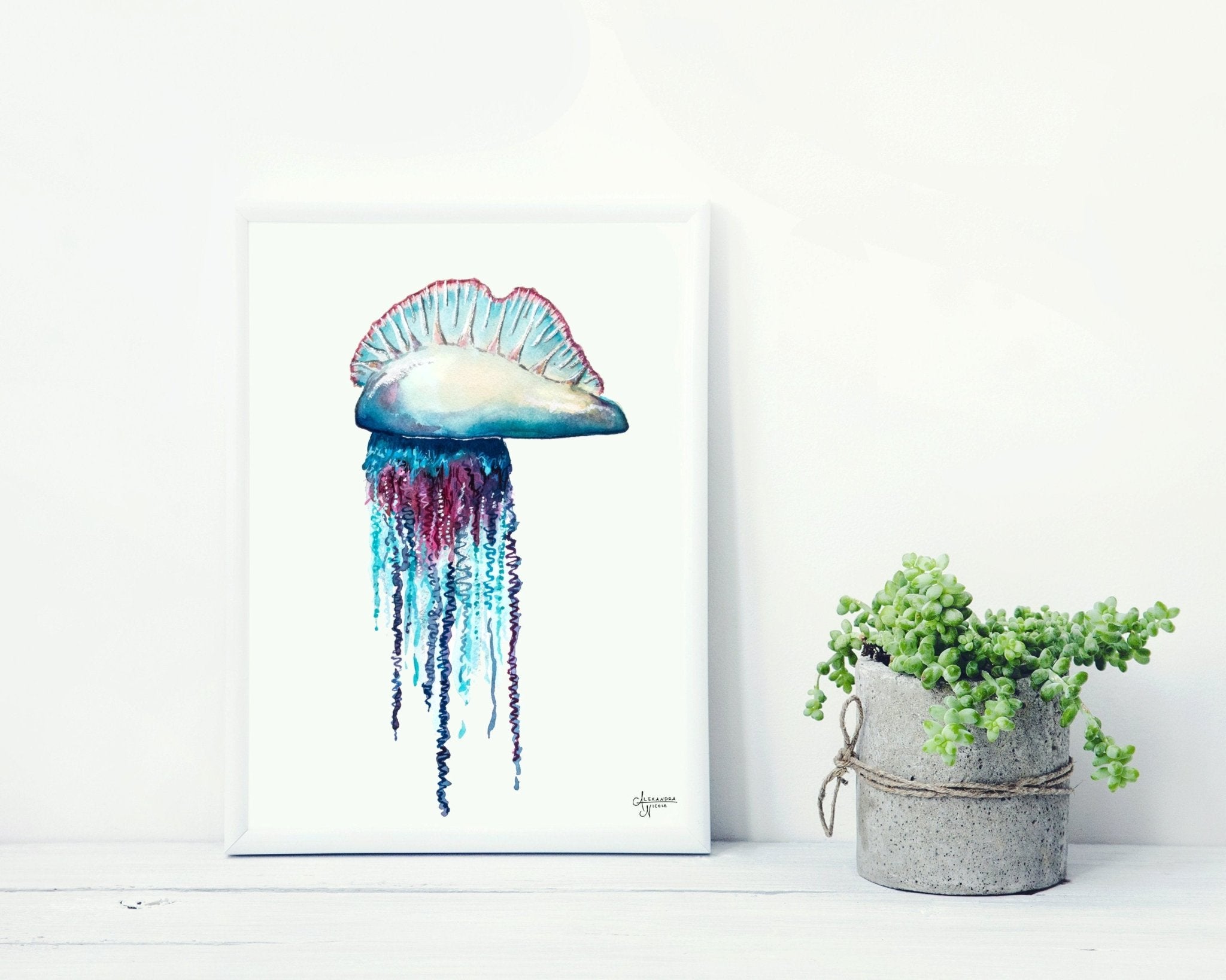 Portuguese Man O War FIne Art Print - ArtByAlexandraNicole