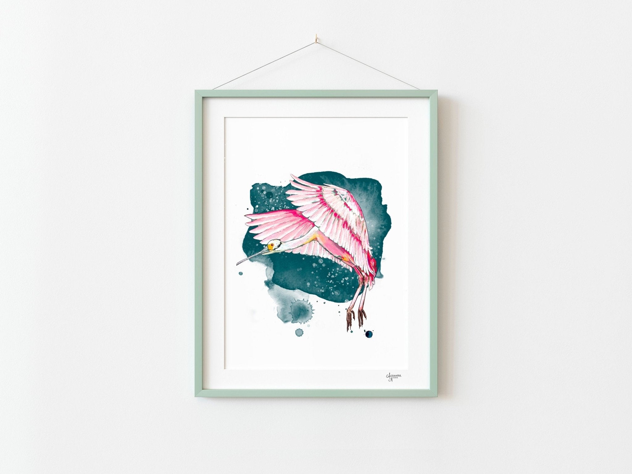 Roseate Spoonbill Fine Art Print by Coastal Artist Alexandra Nicole - ArtByAlexandraNicole