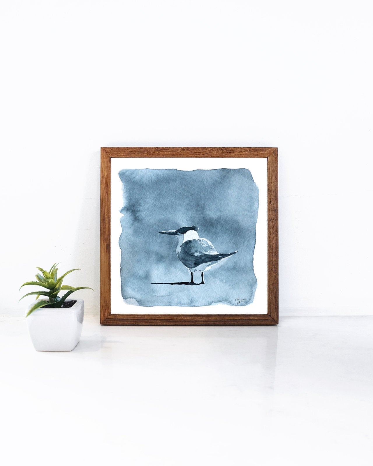 Royal Tern Value Study 2 Art Print - ArtByAlexandraNicole
