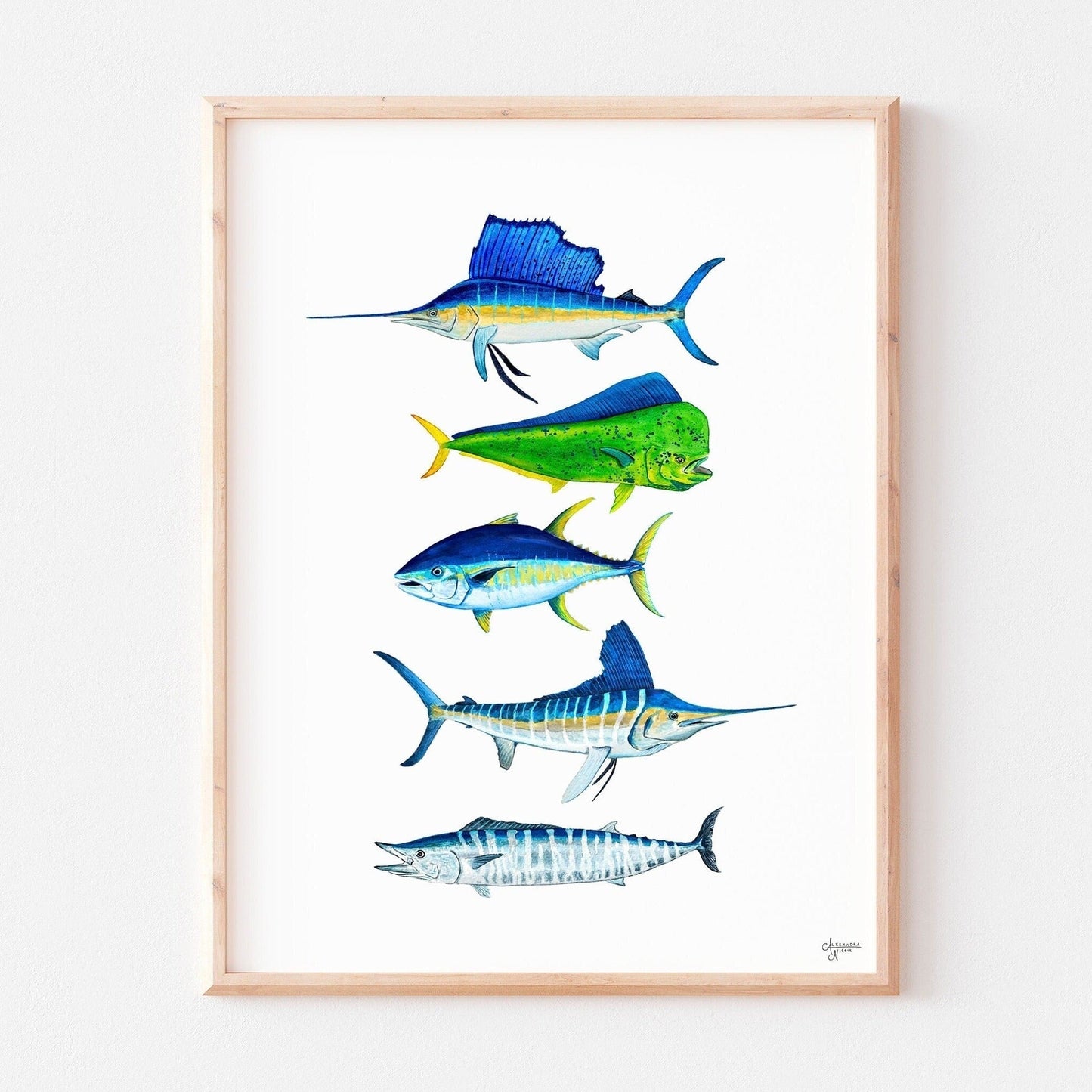 Sailfish, Mahi Mahi, Wahoo, Tuna, Marlin - ArtByAlexandraNicole