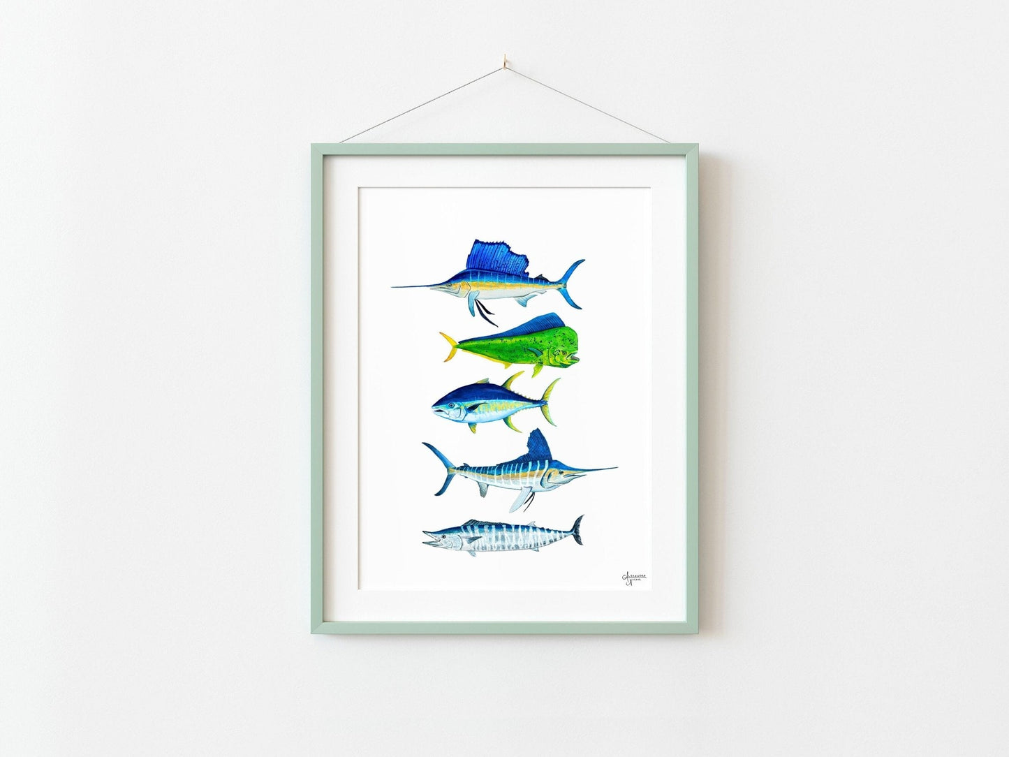 Sailfish, Mahi Mahi, Wahoo, Tuna, Marlin - ArtByAlexandraNicole