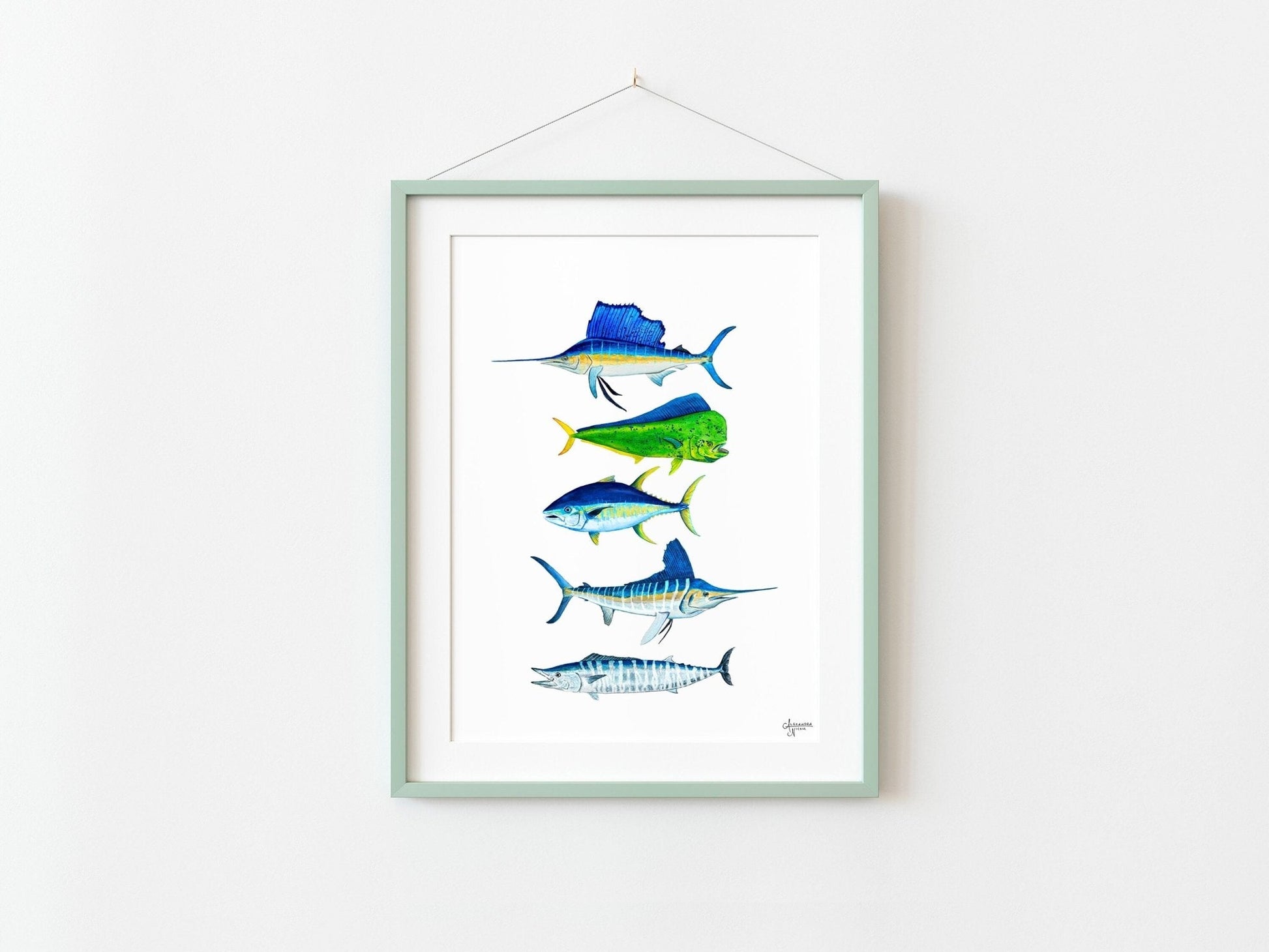 Sailfish, Mahi Mahi, Wahoo, Tuna, Marlin - ArtByAlexandraNicole