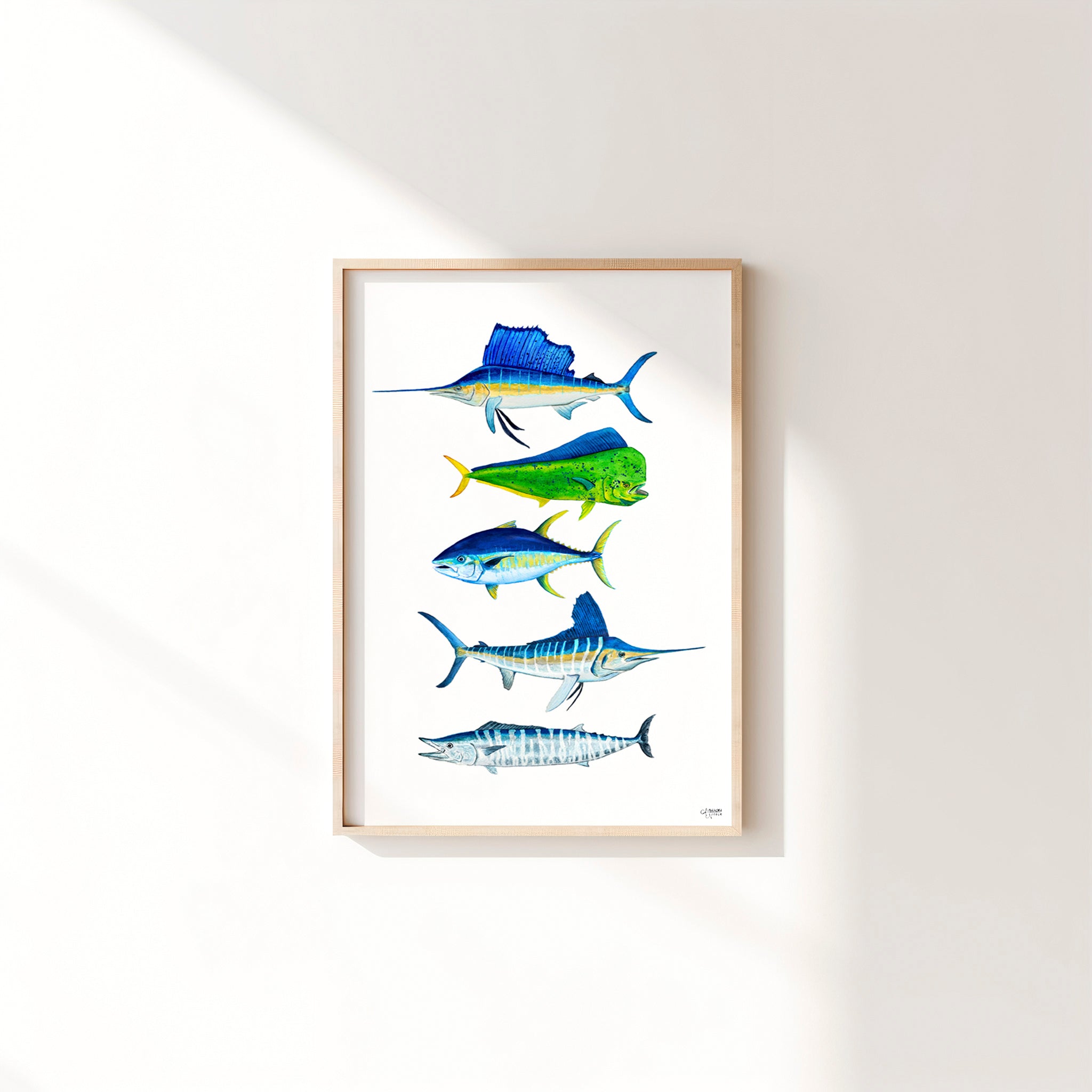 Sailfish, Mahi Mahi, Wahoo, Tuna, Marlin - ArtByAlexandraNicole