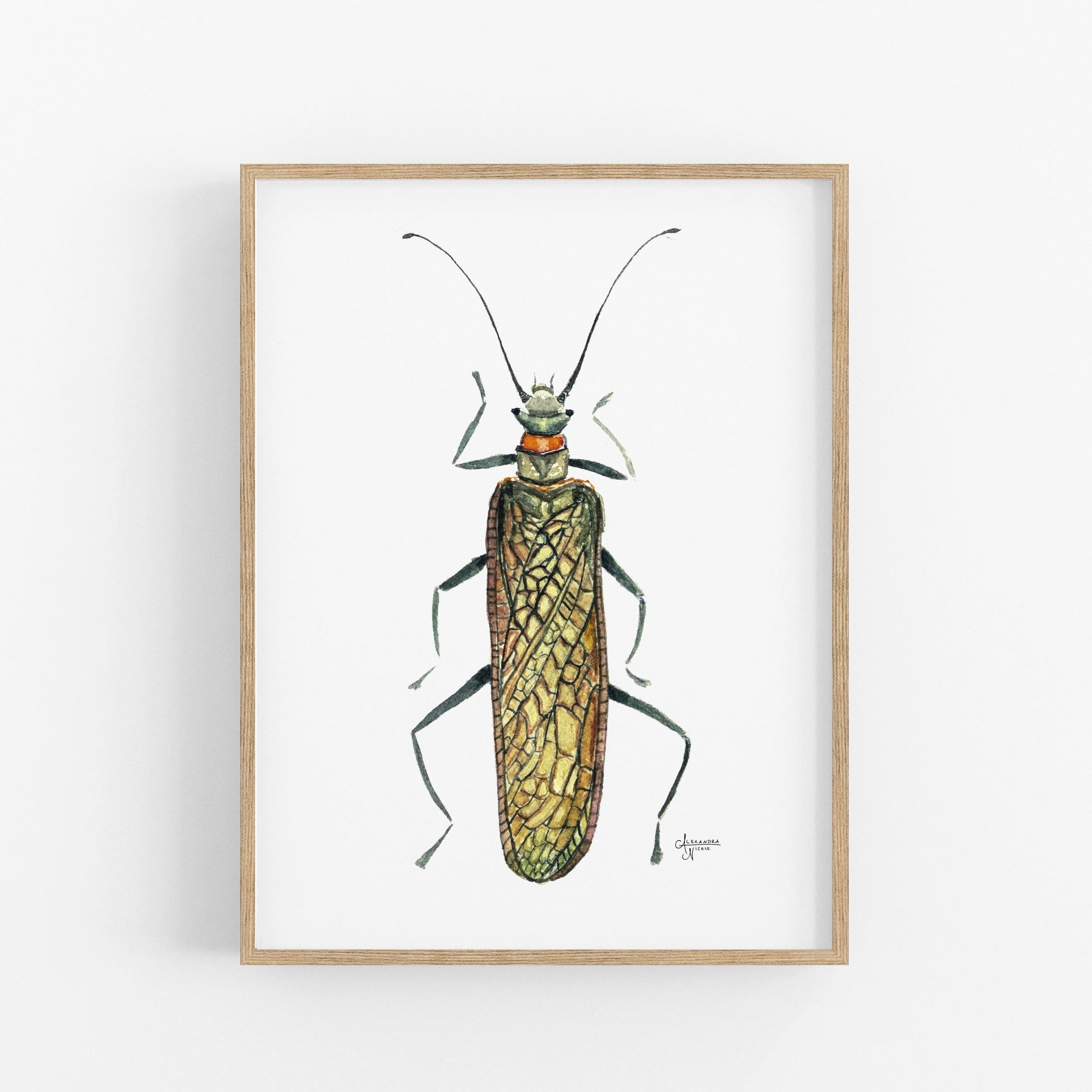 Salmonfly Print - ArtByAlexandraNicole