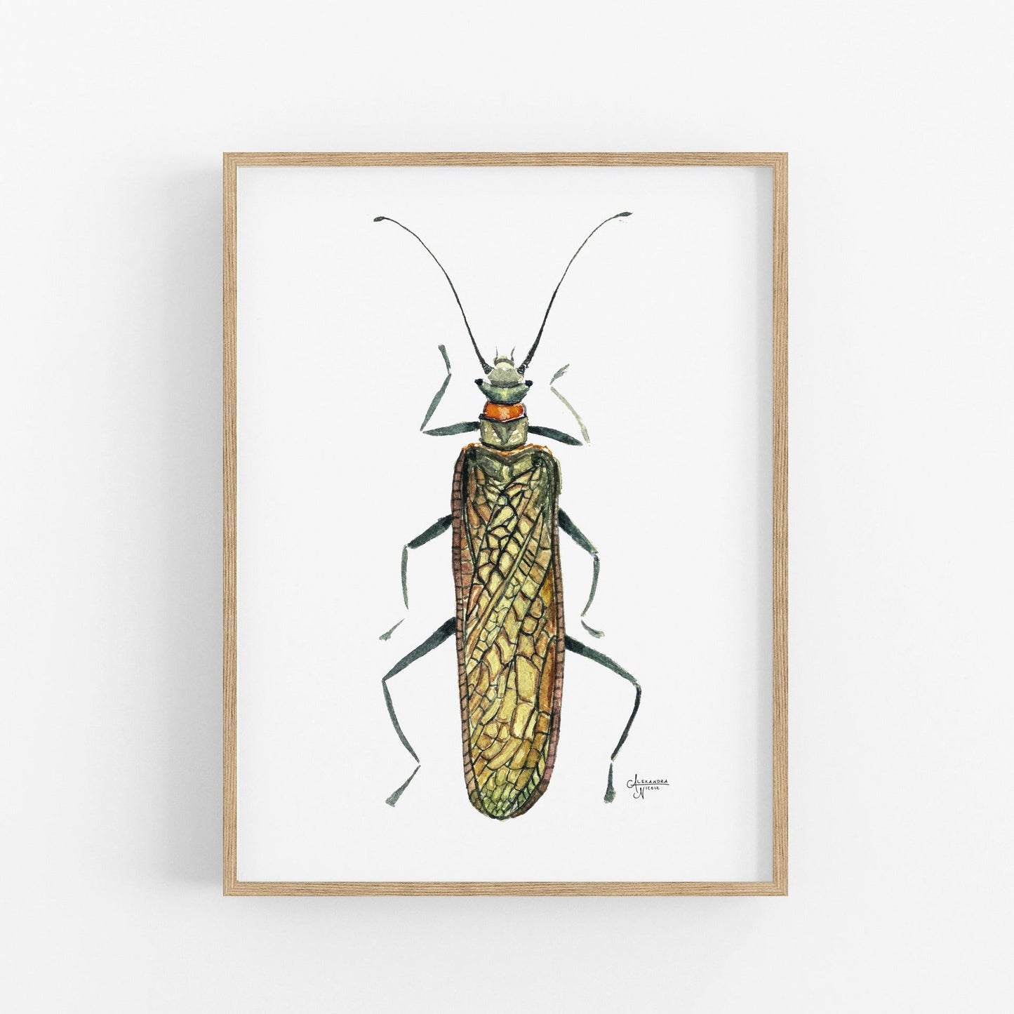Salmonfly Print - ArtByAlexandraNicole