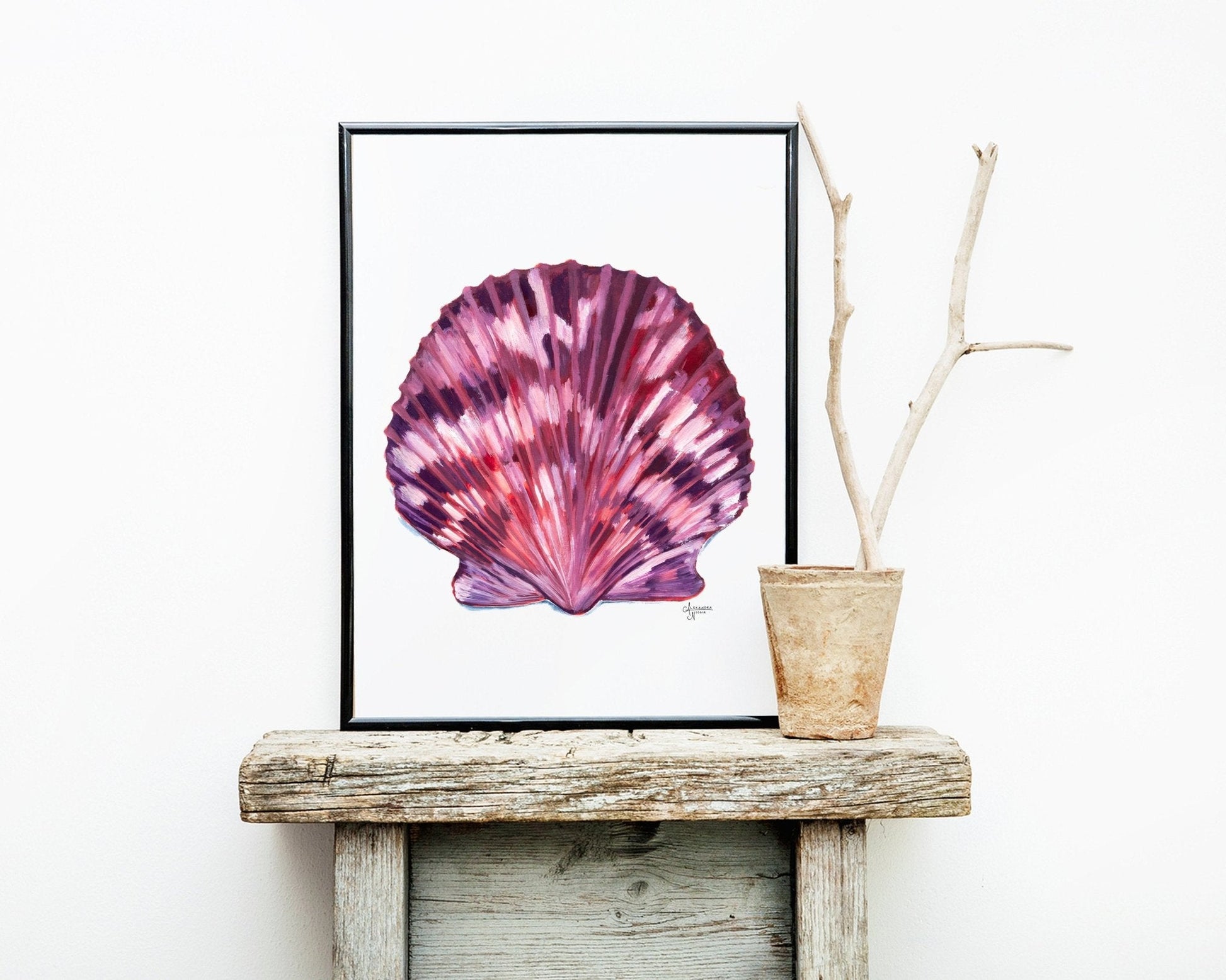 Scallop Sea Shell Art Print, Coastal Decor - ArtByAlexandraNicole