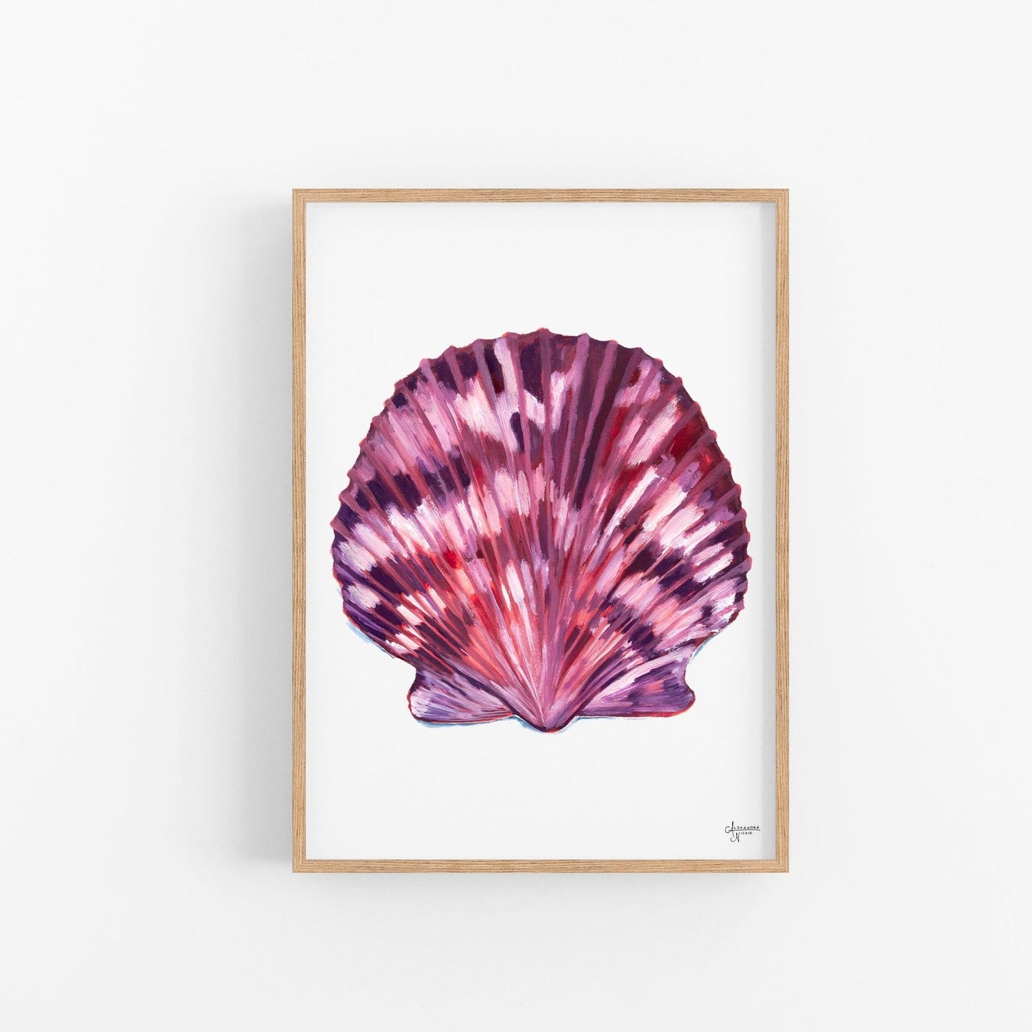Scallop Sea Shell Art Print, Coastal Decor - ArtByAlexandraNicole