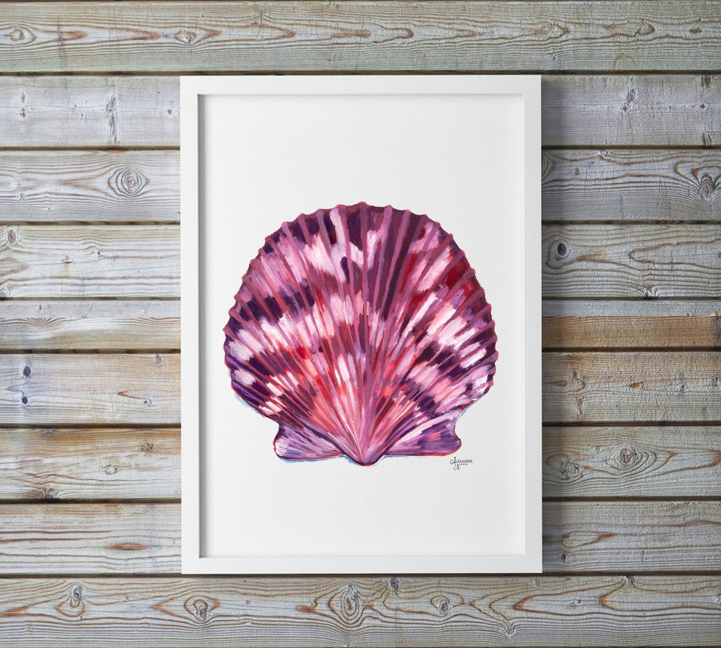 Scallop Sea Shell Art Print, Coastal Decor - ArtByAlexandraNicole