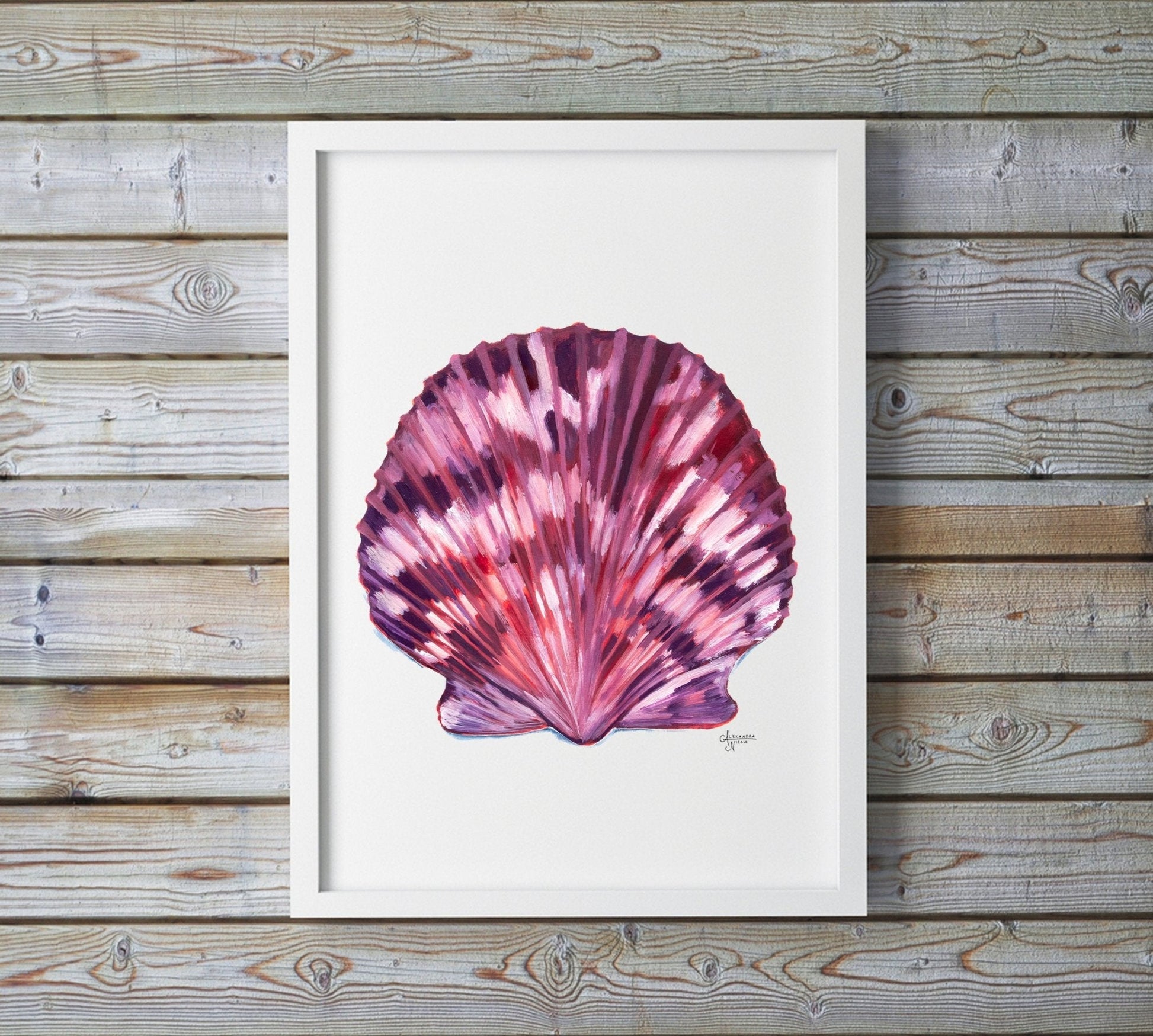 Scallop Sea Shell Art Print, Coastal Decor - ArtByAlexandraNicole