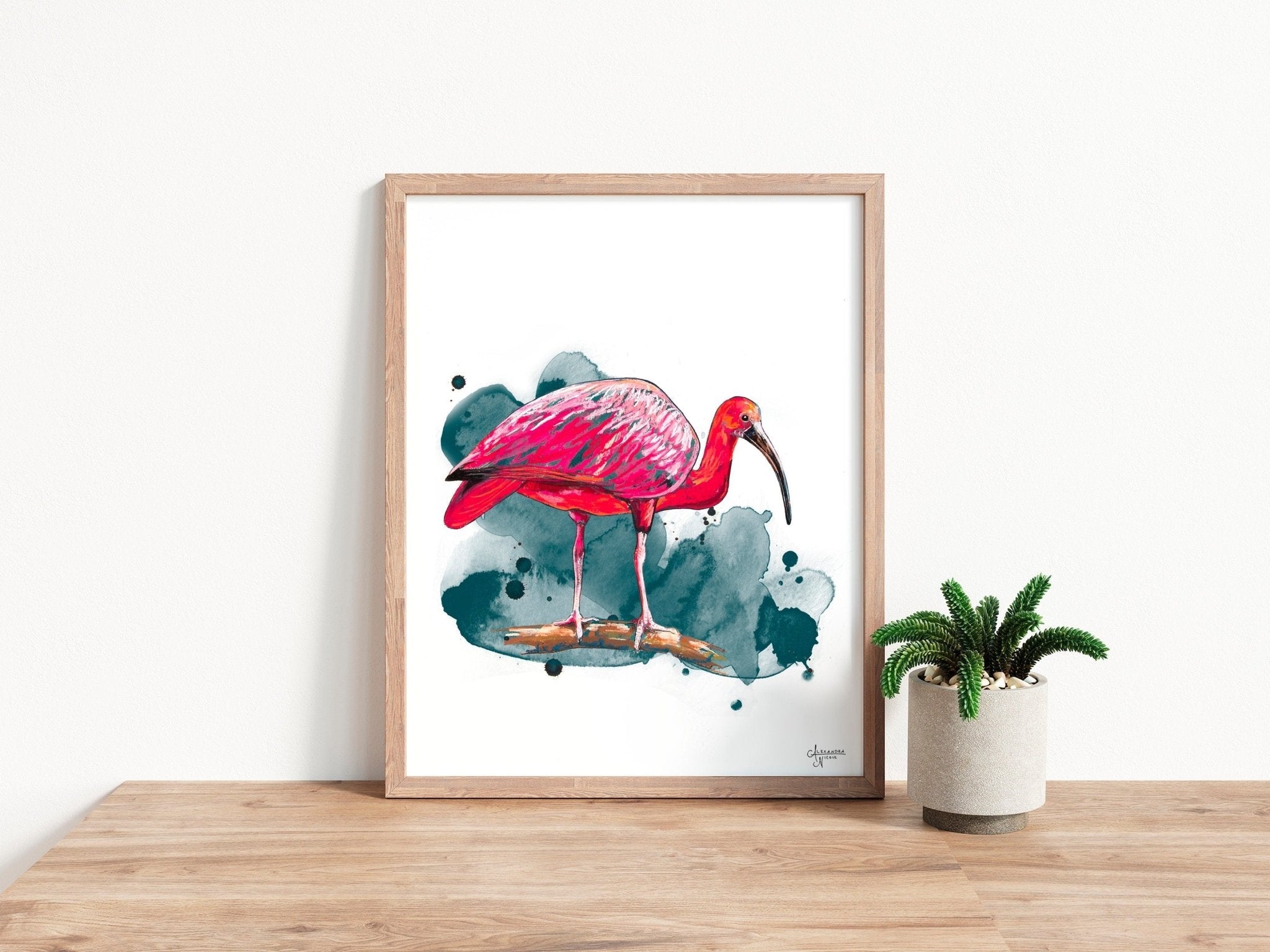 Scarlet Ibis Fine Art Print by Coastal Artist Alexandra Nicole - ArtByAlexandraNicole