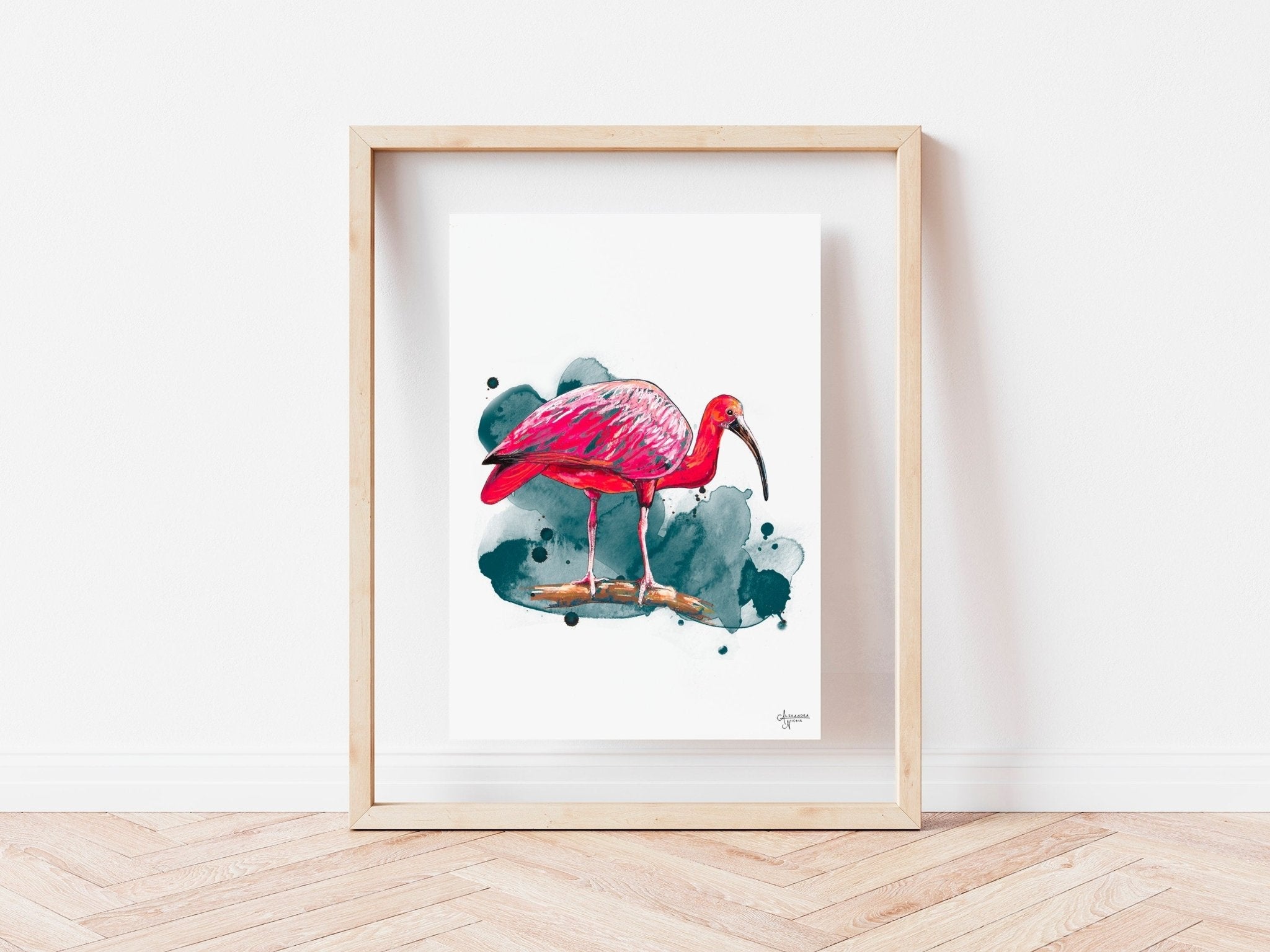 Scarlet Ibis Fine Art Print by Coastal Artist Alexandra Nicole - ArtByAlexandraNicole