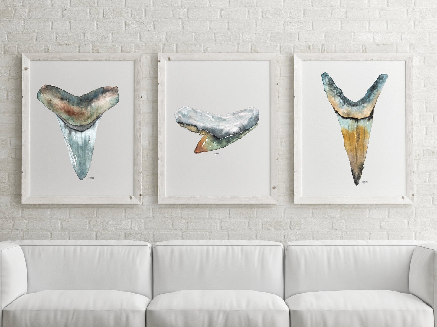 Shark Tooth Discounted Watercolor Print Set of 3 - ArtByAlexandraNicole