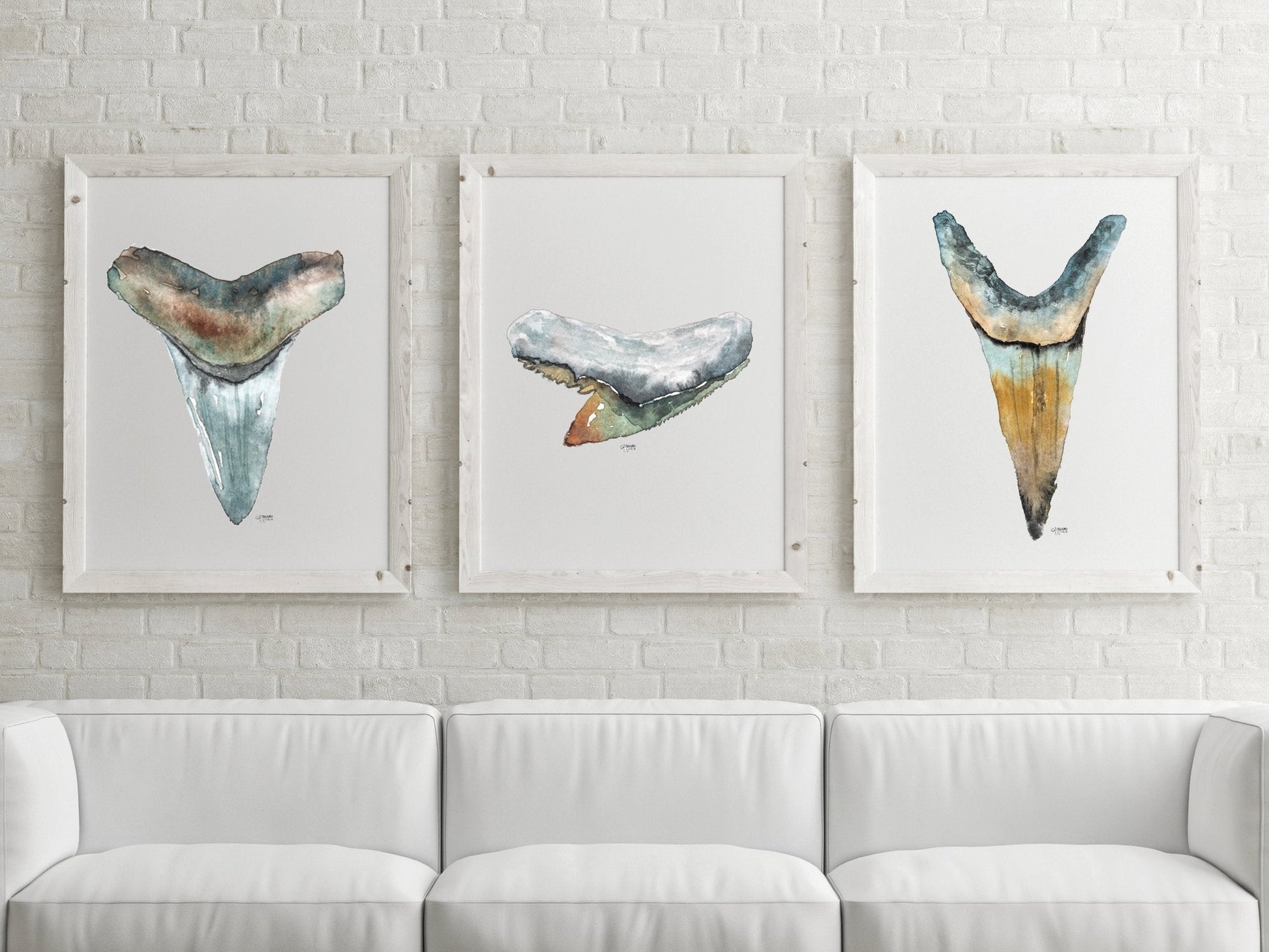 Shark Tooth Discounted Watercolor Print Set of 3 - ArtByAlexandraNicole