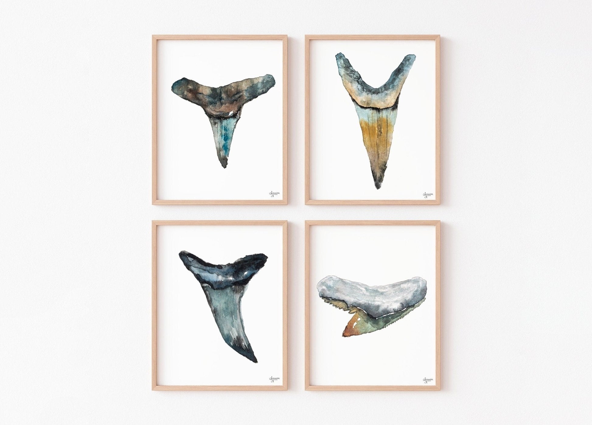 Shark Tooth Print Set - ArtByAlexandraNicole