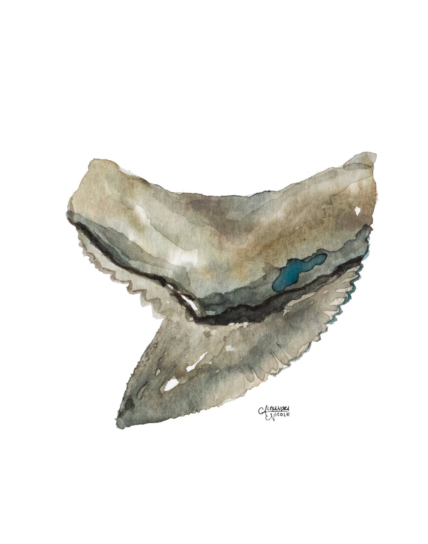 Shark Tooth Tiger Watercolor Art Print Minimalist Decor - Shark Tooth No. 4 - ArtByAlexandraNicole
