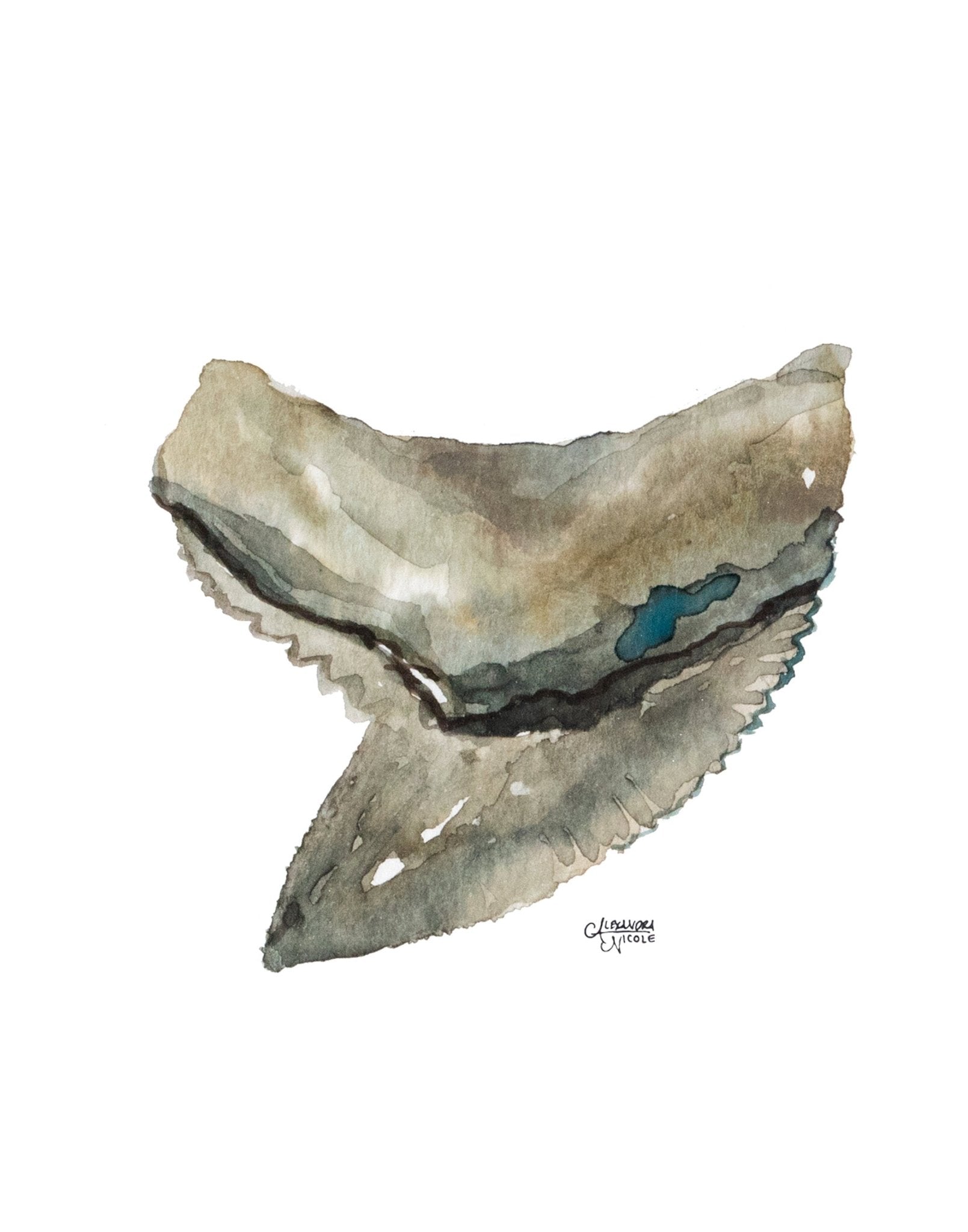 Shark Tooth Tiger Watercolor Art Print Minimalist Decor - Shark Tooth No. 4 - ArtByAlexandraNicole
