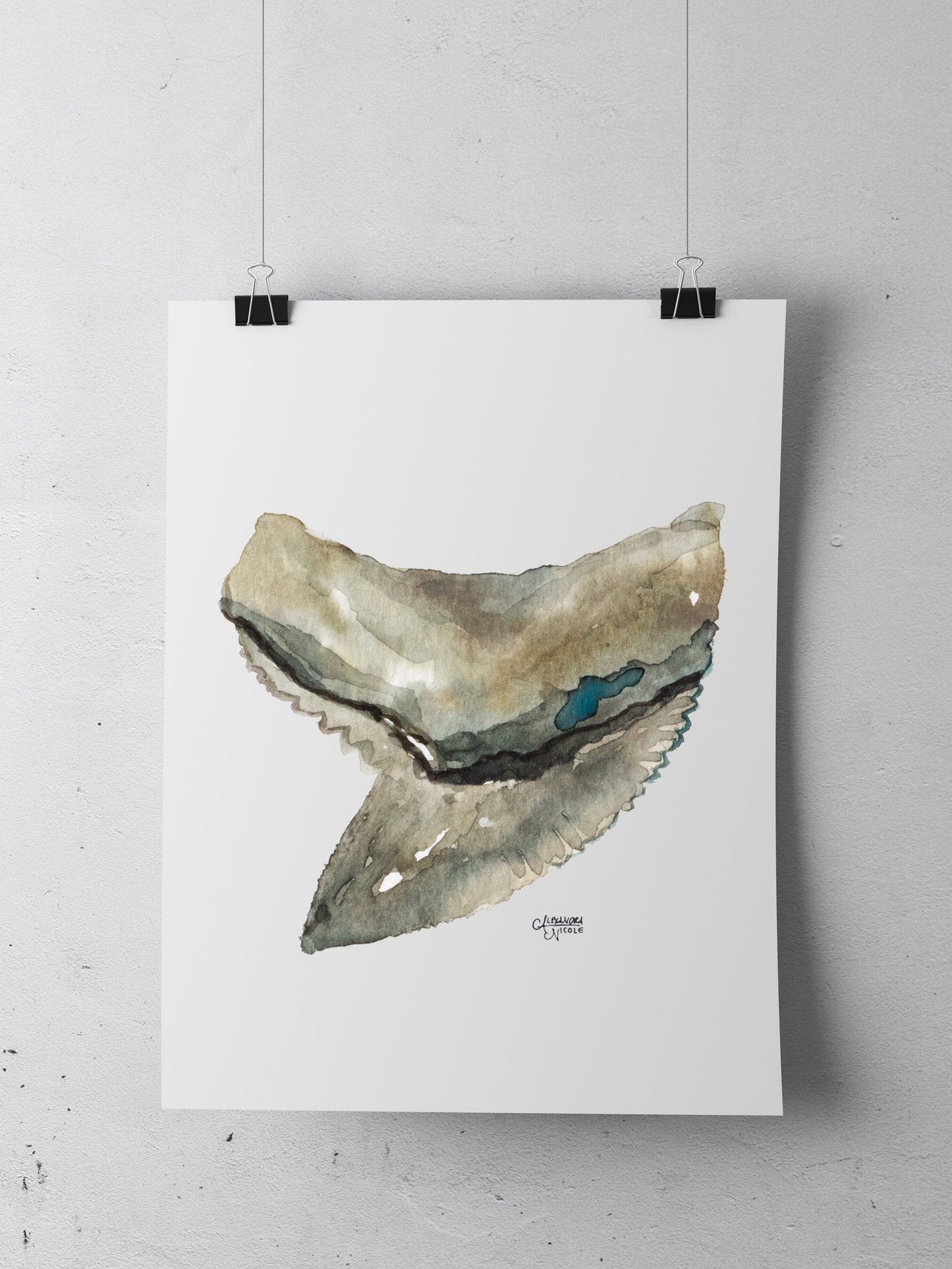 Shark Tooth Tiger Watercolor Art Print Minimalist Decor - Shark Tooth No. 4 - ArtByAlexandraNicole