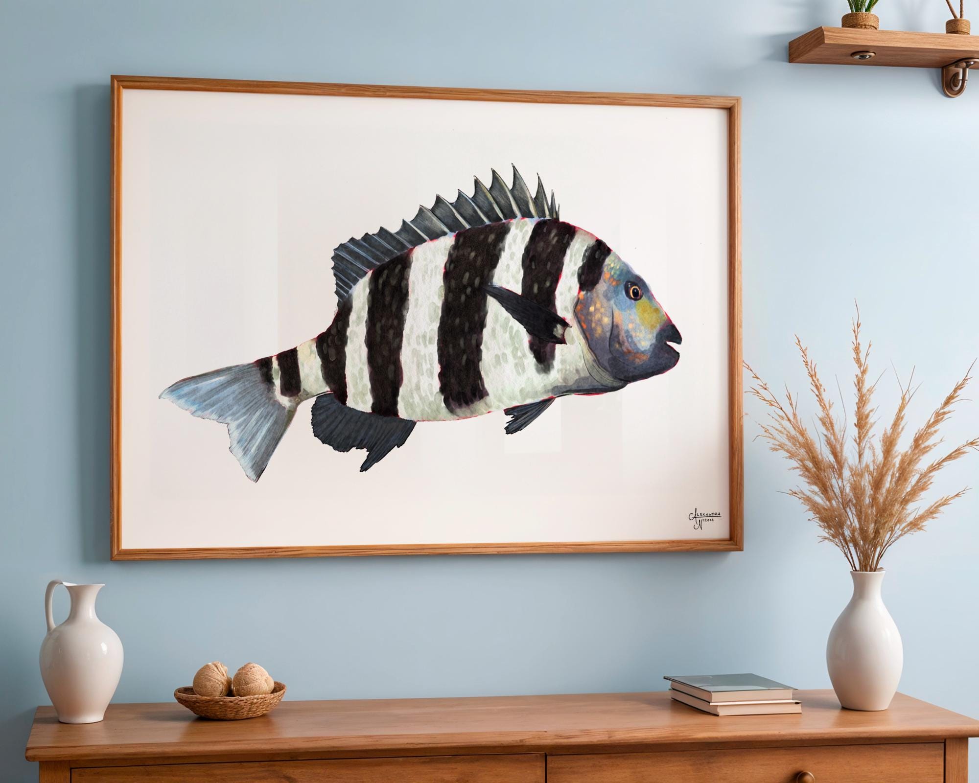 Sheepshead Fish, Fish Art, Coastal Artwork, Fisherman Gift, Gifts for Him - ArtByAlexandraNicole