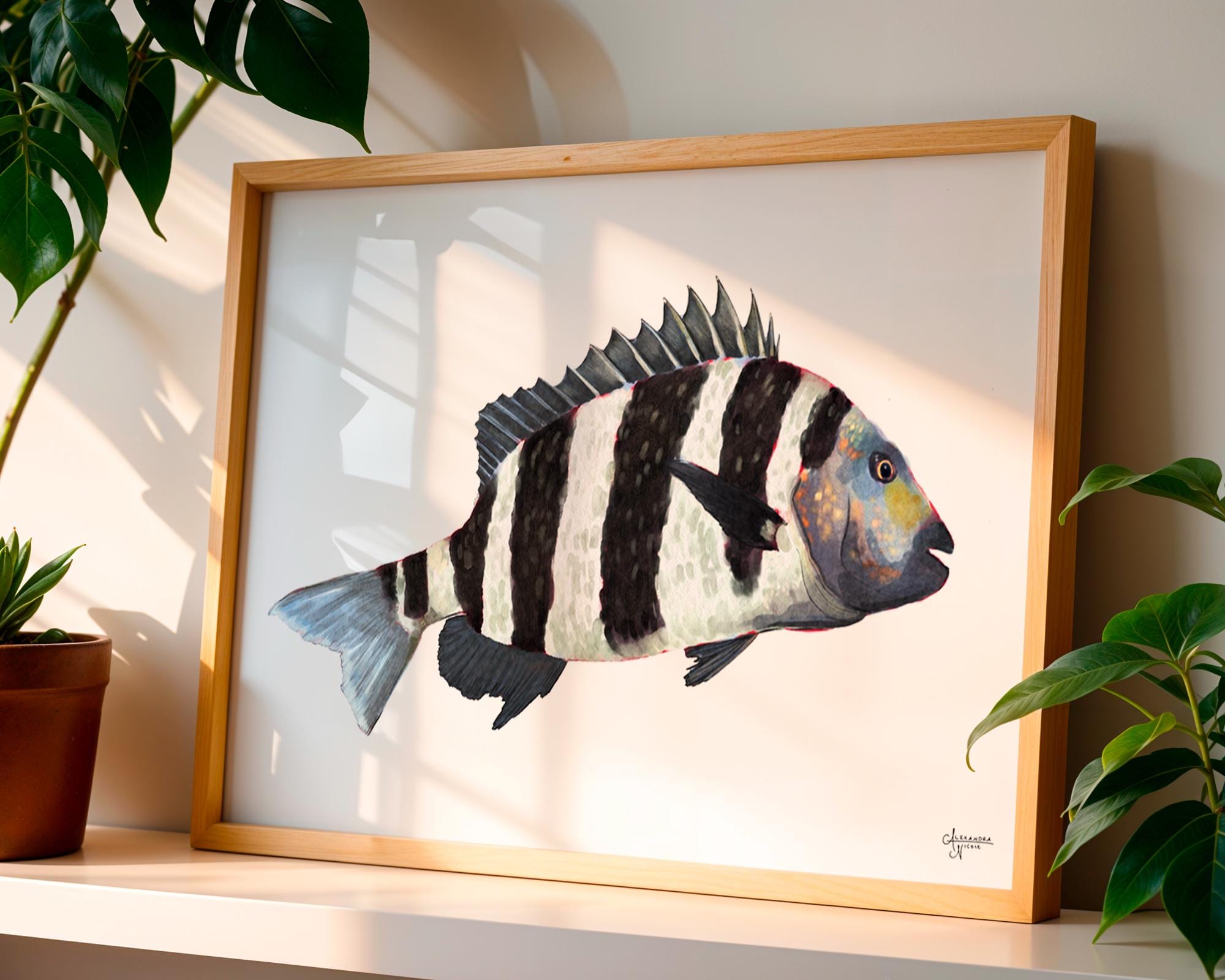 Sheepshead Fish, Fish Art, Coastal Artwork, Fisherman Gift, Gifts for Him - ArtByAlexandraNicole